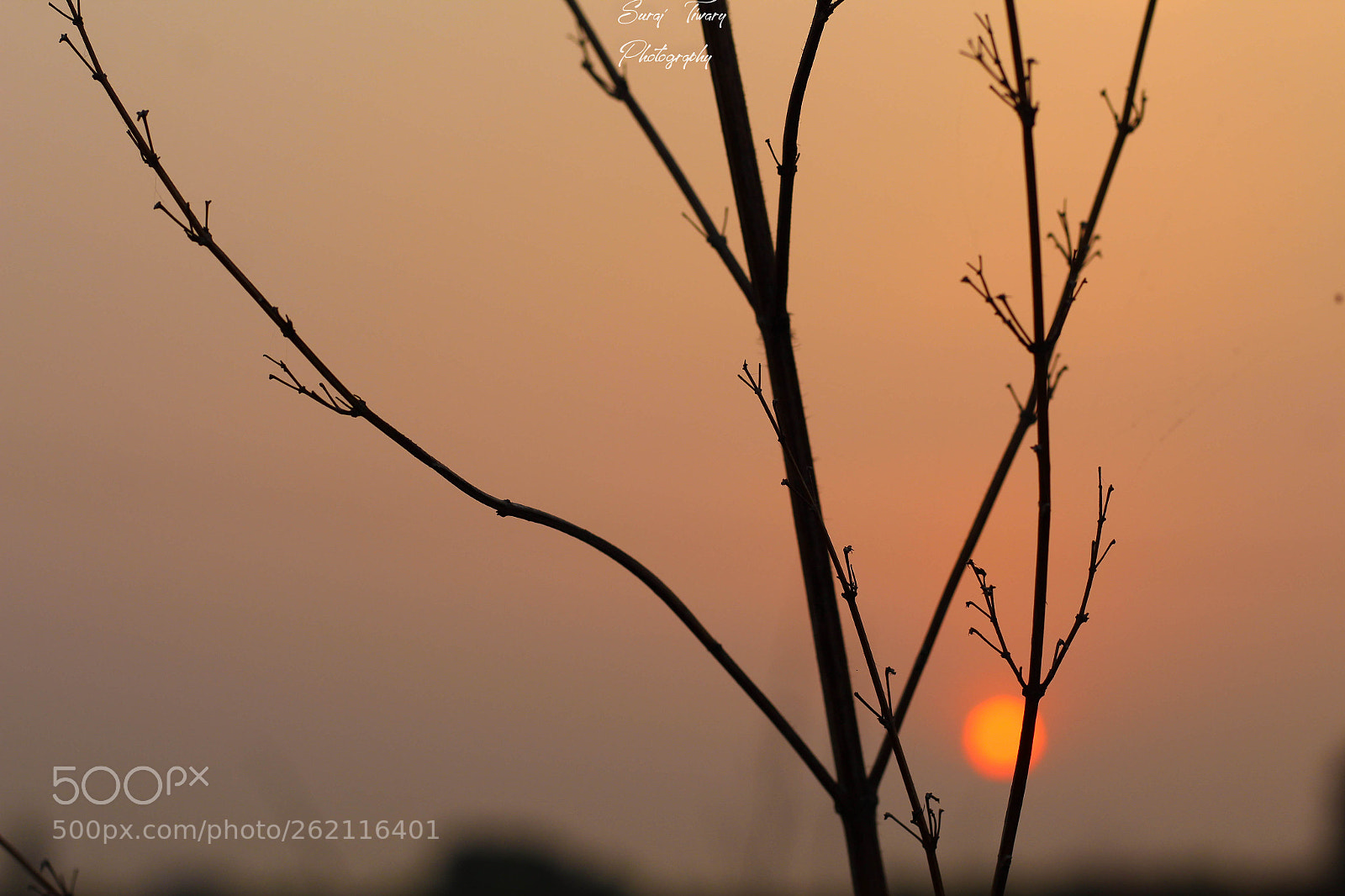 Canon EOS 1300D (EOS Rebel T6 / EOS Kiss X80) sample photo. One morning photography