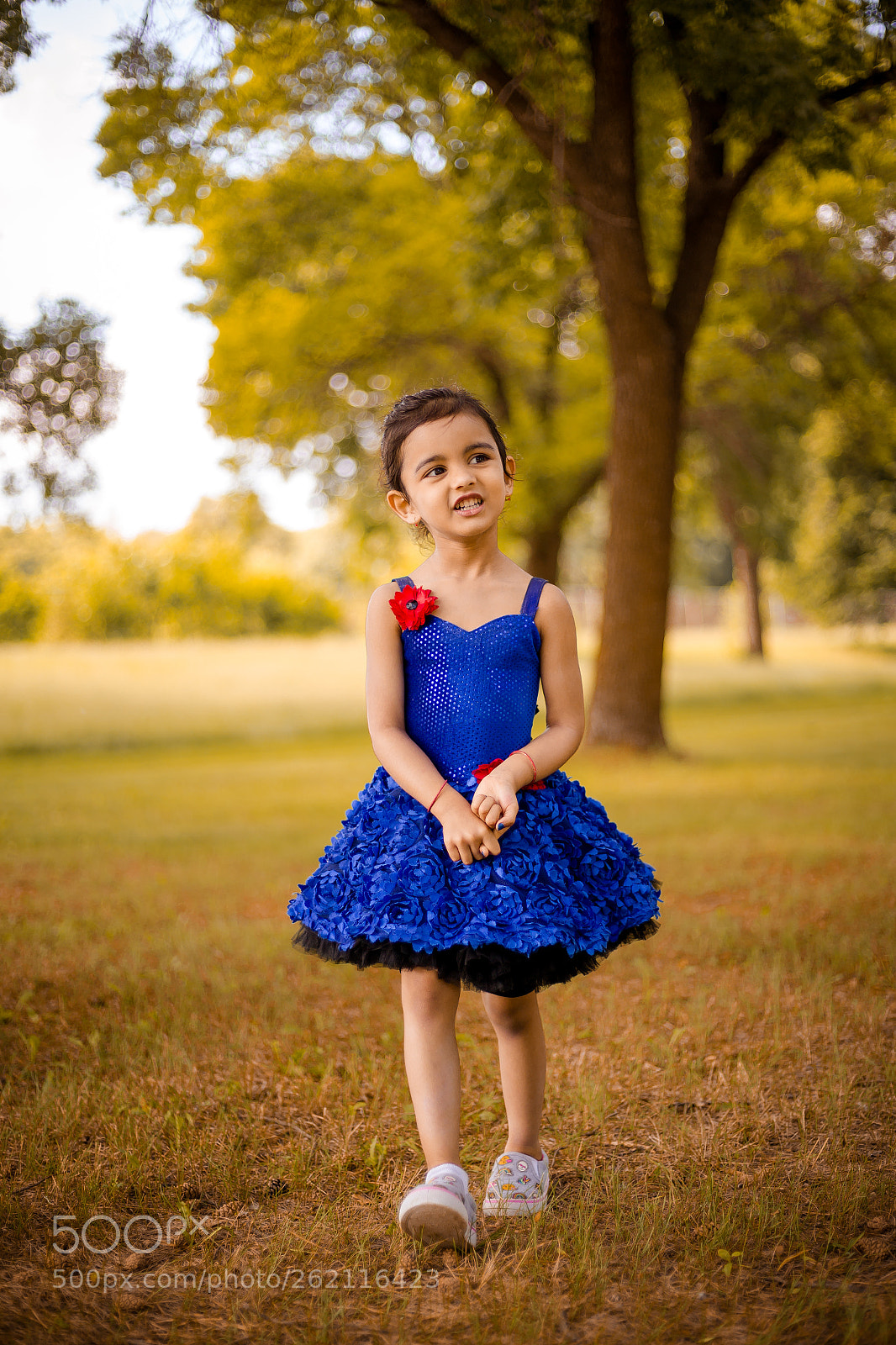 Canon EOS 6D sample photo. A walk in the photography