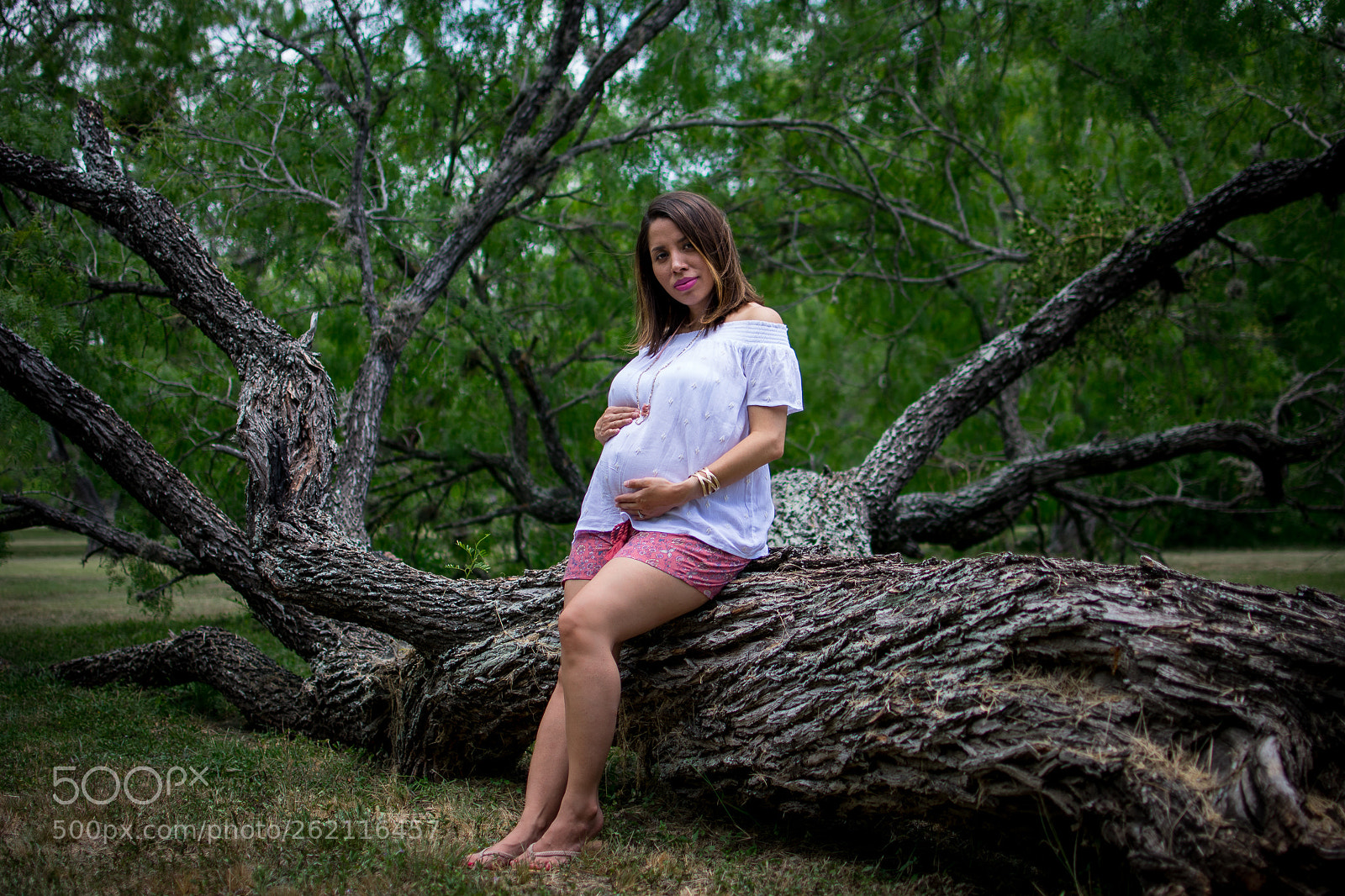Nikon D3400 sample photo. Mamapregmesquite photography