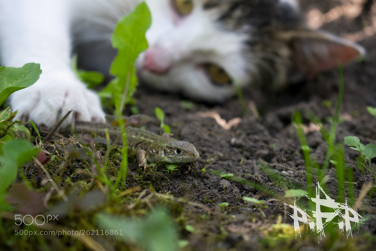 Nikon D3400 sample photo. Hunter photography