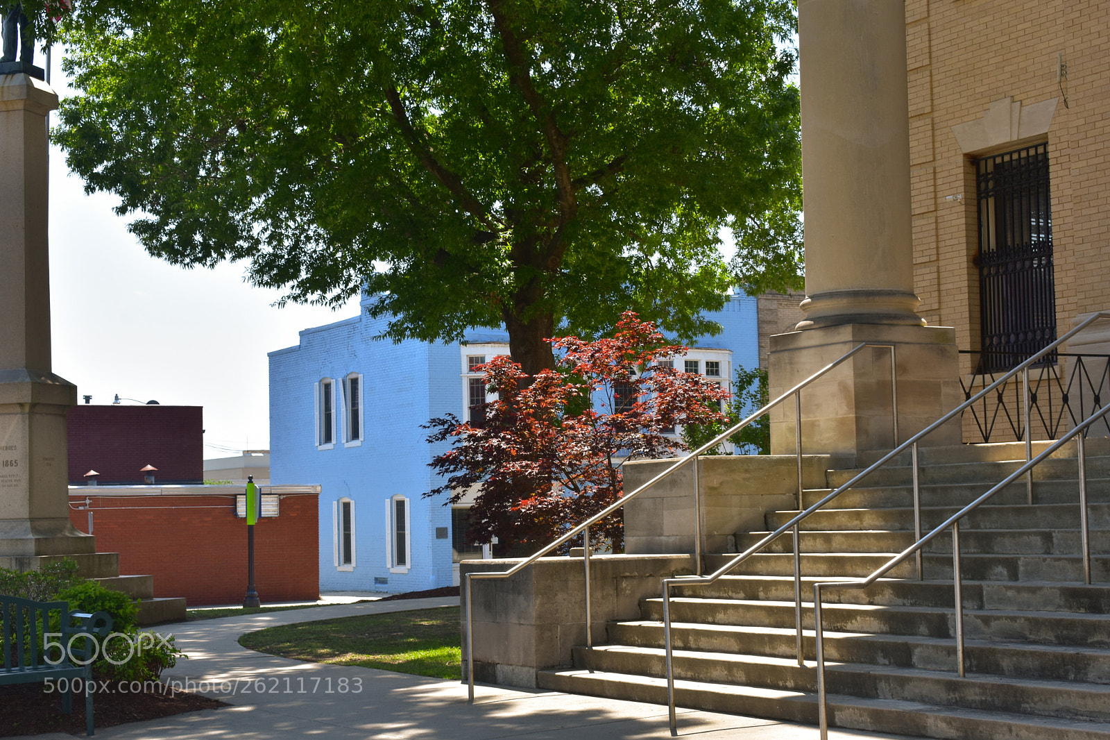 Nikon D3400 sample photo. Ut photography