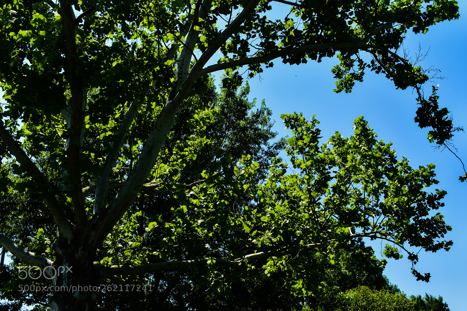 Nikon D3400 sample photo. Ntre photography