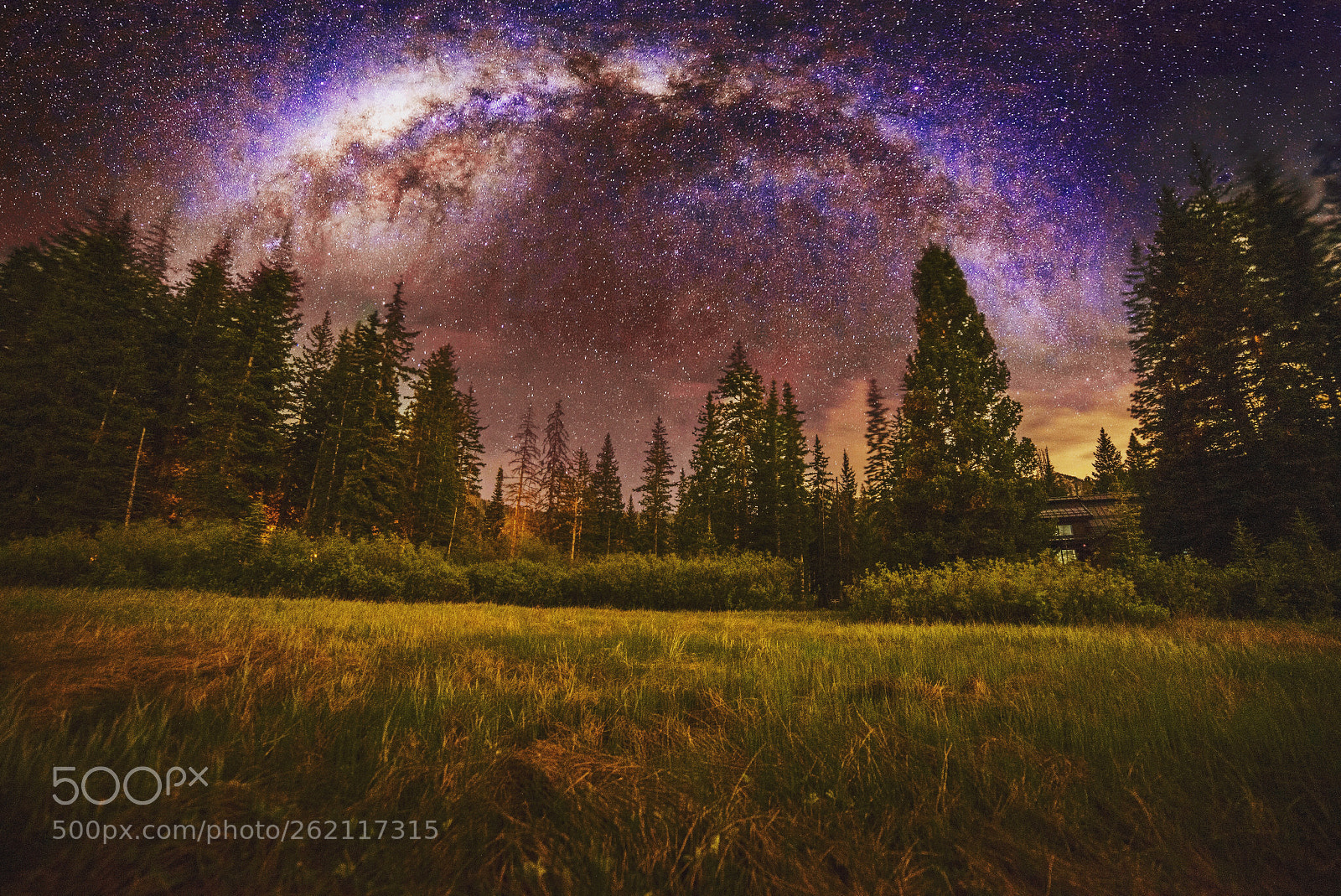 Nikon D750 sample photo. Milkyway panorama  photography