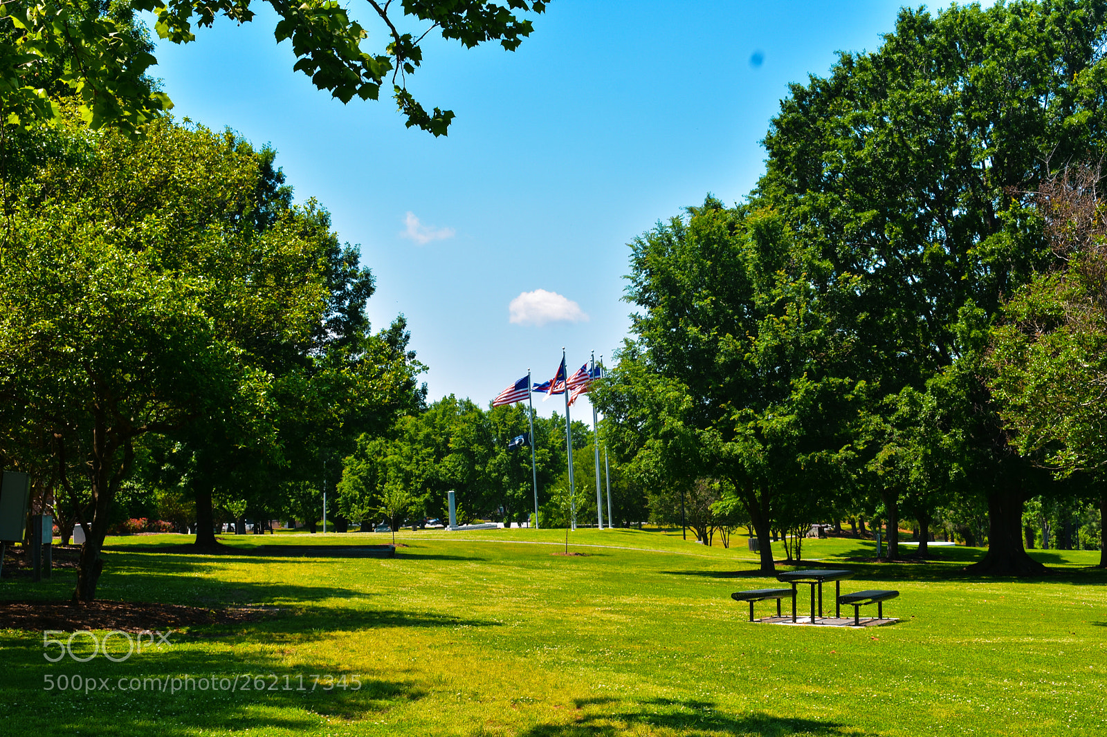 Nikon D3400 sample photo. Prkut photography