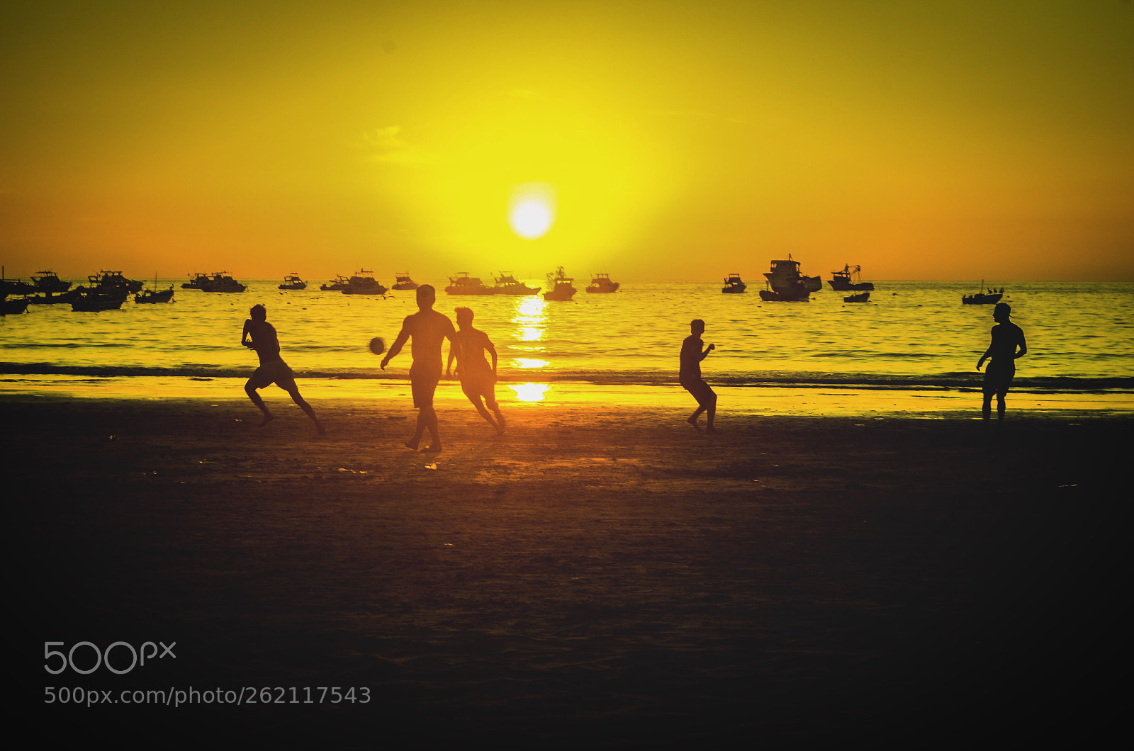 Nikon D5100 sample photo. Untitled photography