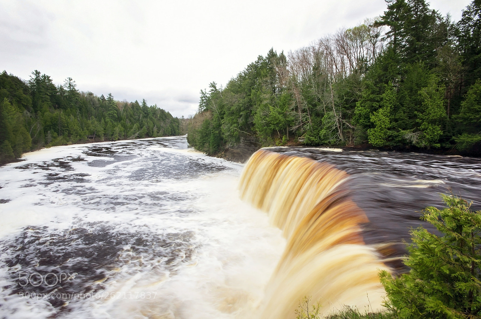 Nikon D3100 sample photo. Tahquamenon falls photography