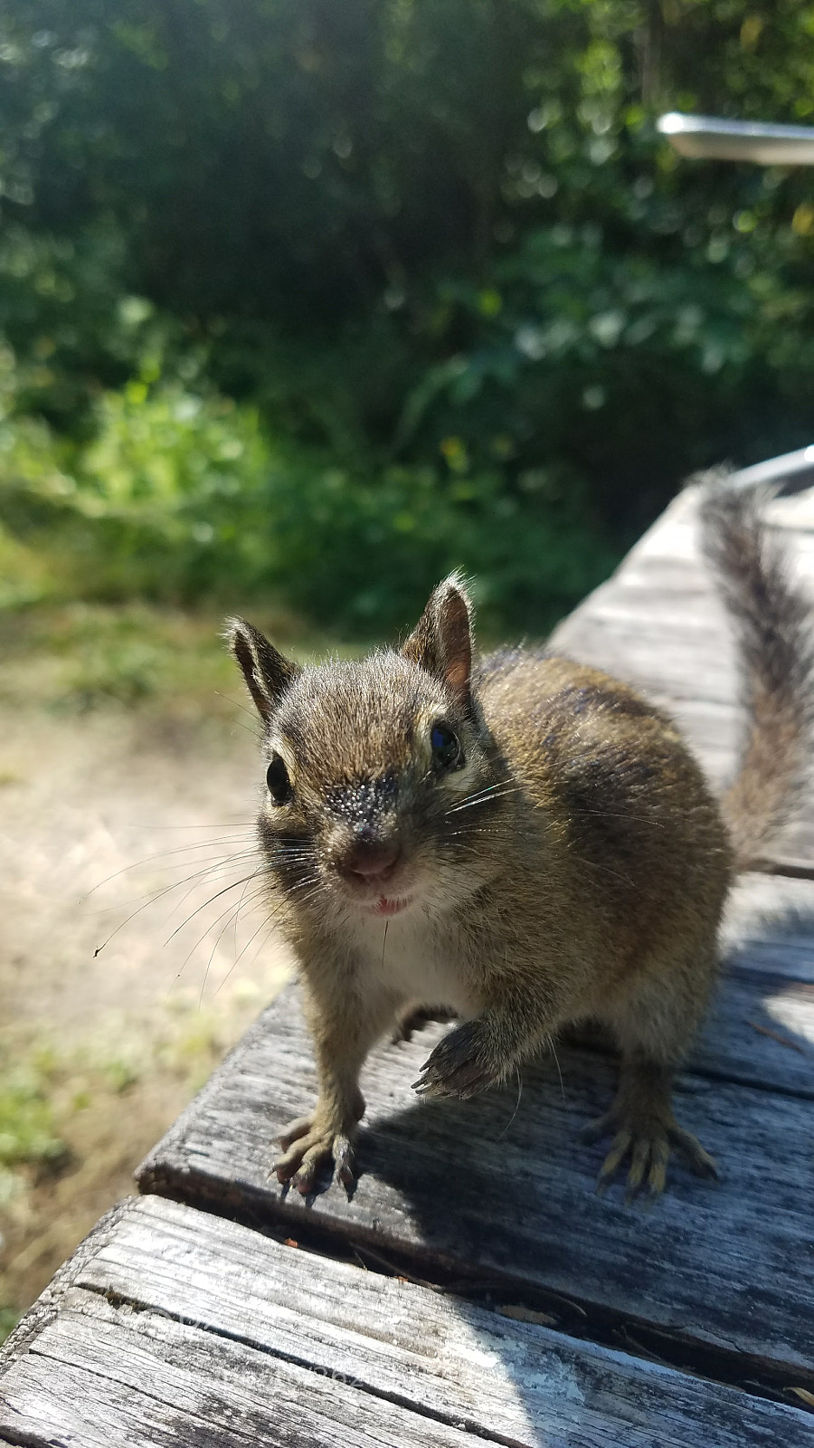 Samsung Galaxy S7 Edge sample photo. Untitled photography