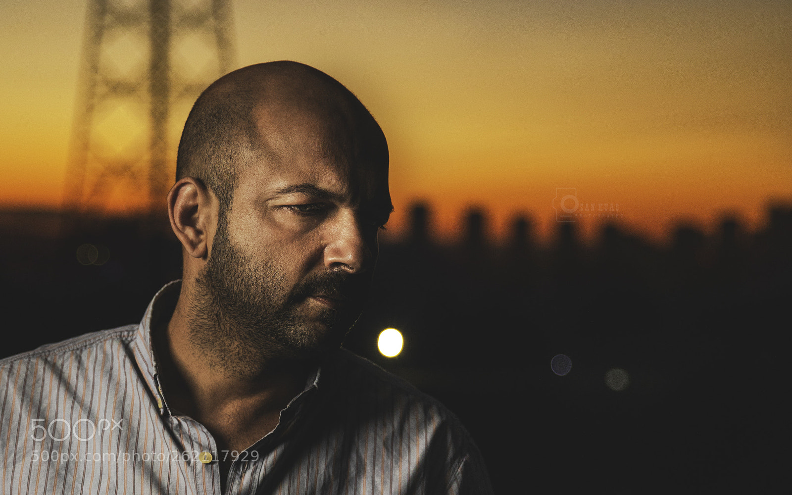Canon EOS 5D Mark IV sample photo. Oldfriendinsunshine... photography