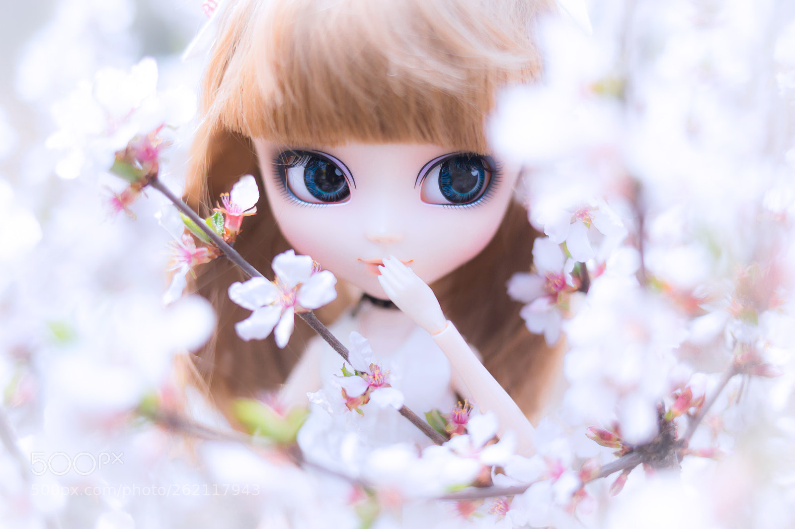 Canon EOS 6D sample photo. Pp photography