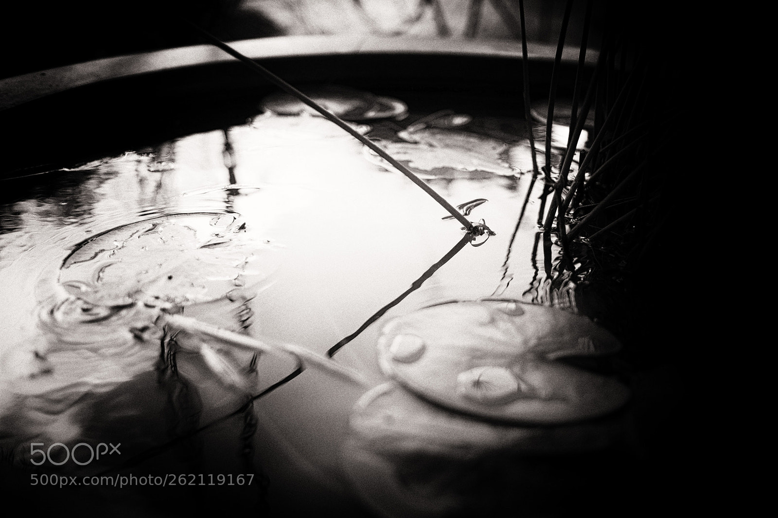 Fujifilm X-T2 sample photo. 22.jpg photography
