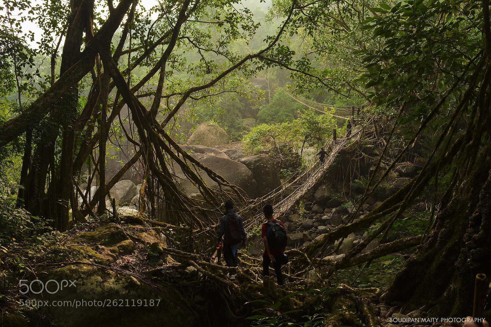 Nikon D5200 sample photo. Crossing living-root bridges. photography