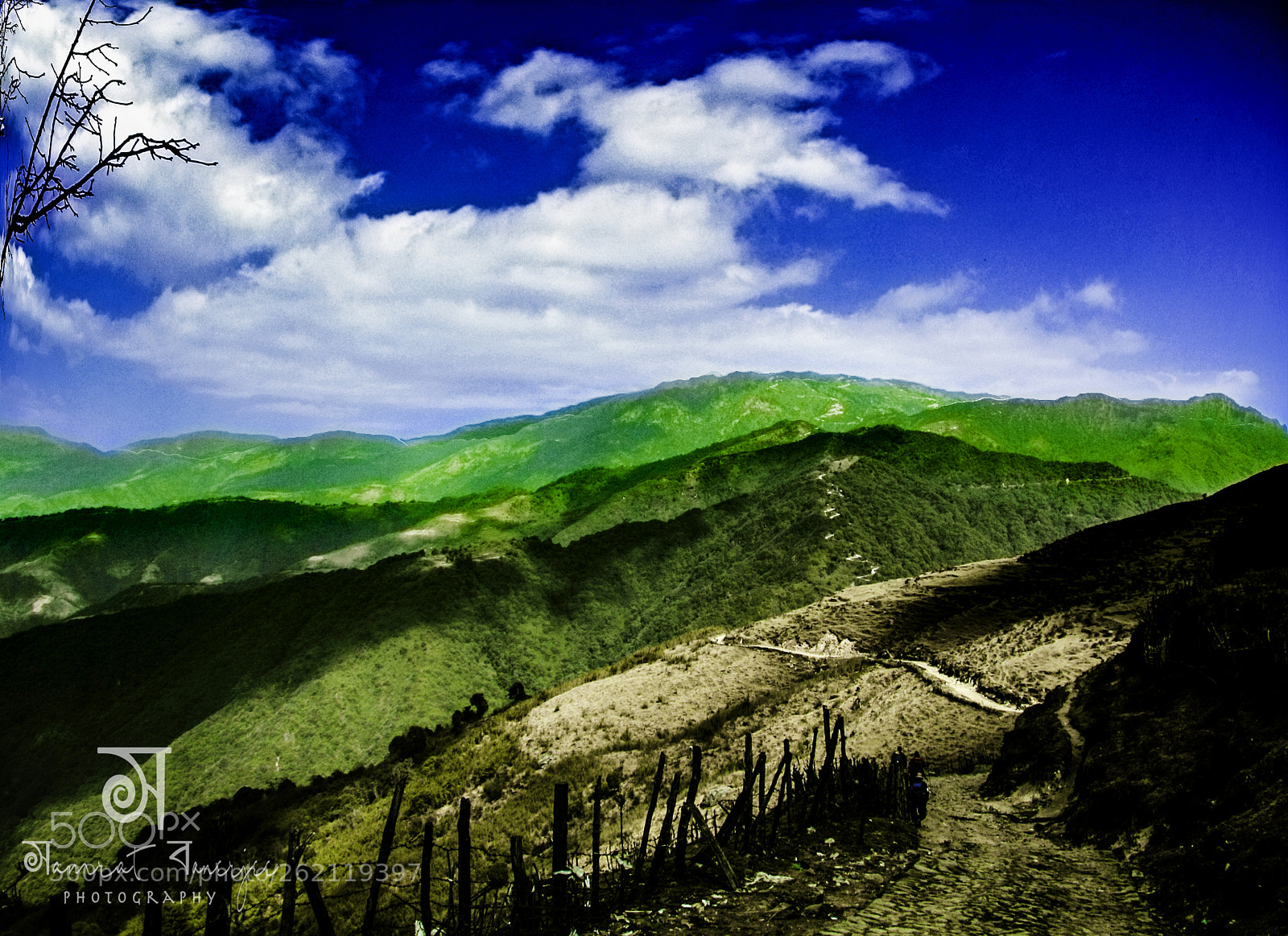Canon EOS 60D sample photo. The green valley photography