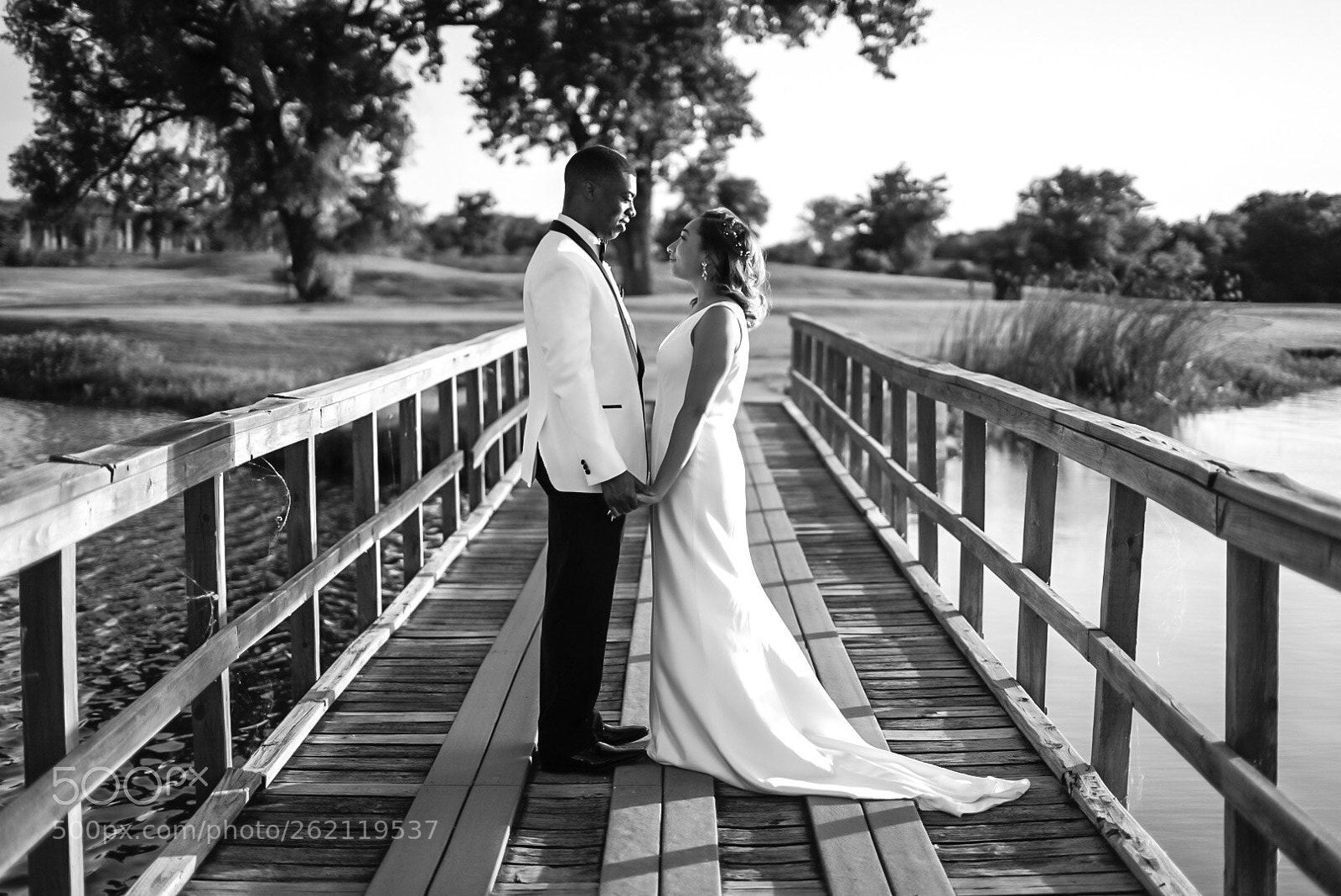Sony a7 II sample photo. Bridge photography