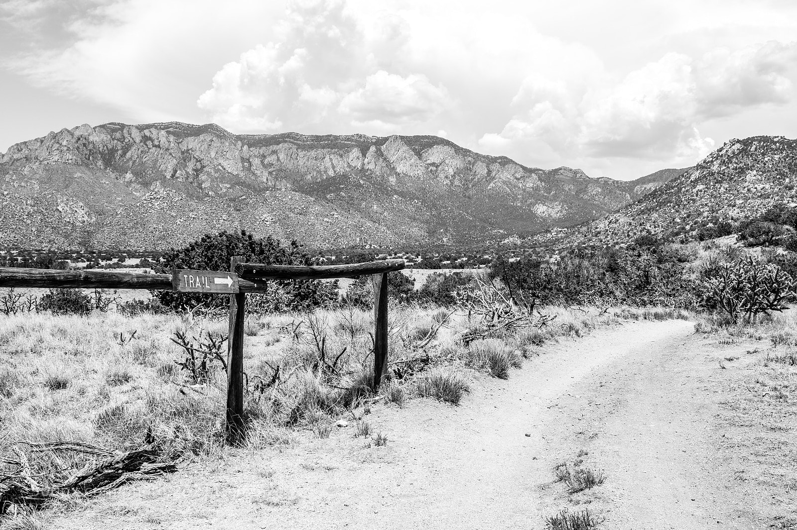 Nikon D500 sample photo. Sandia trail photography