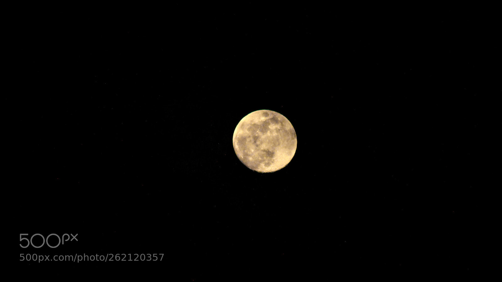 Canon EOS 1300D (EOS Rebel T6 / EOS Kiss X80) sample photo. The wolves are coming. photography