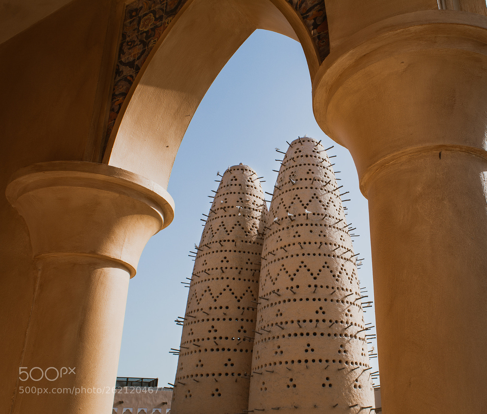 Nikon D5200 sample photo. The birdfeeders in doha photography