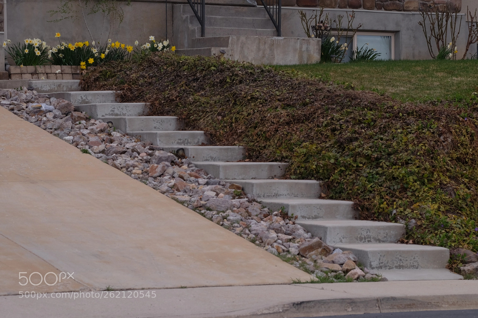 Fujifilm X-T1 sample photo. The steps to my photography