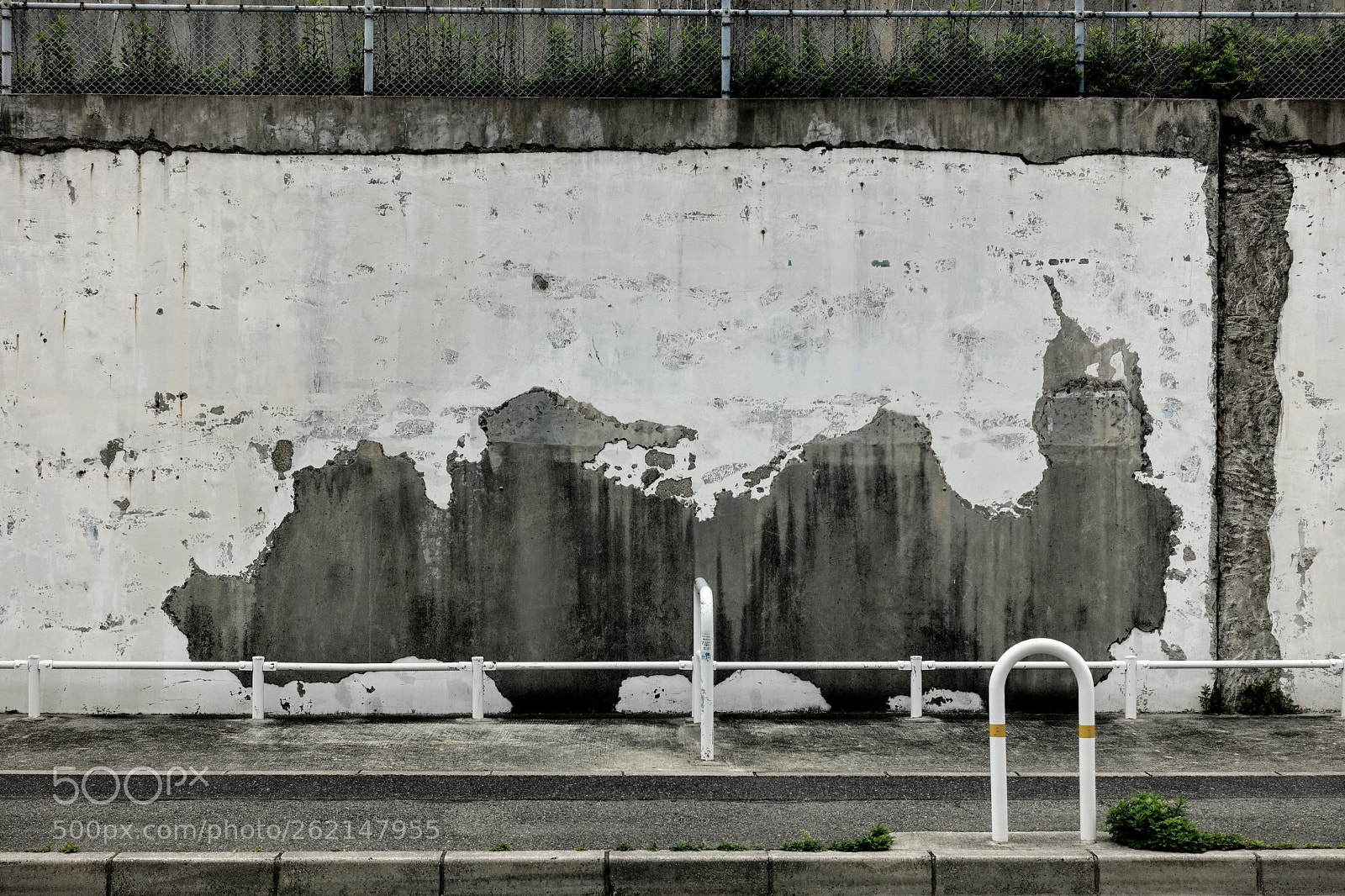 Sony Cyber-shot DSC-RX100 III sample photo. Timid monster photography