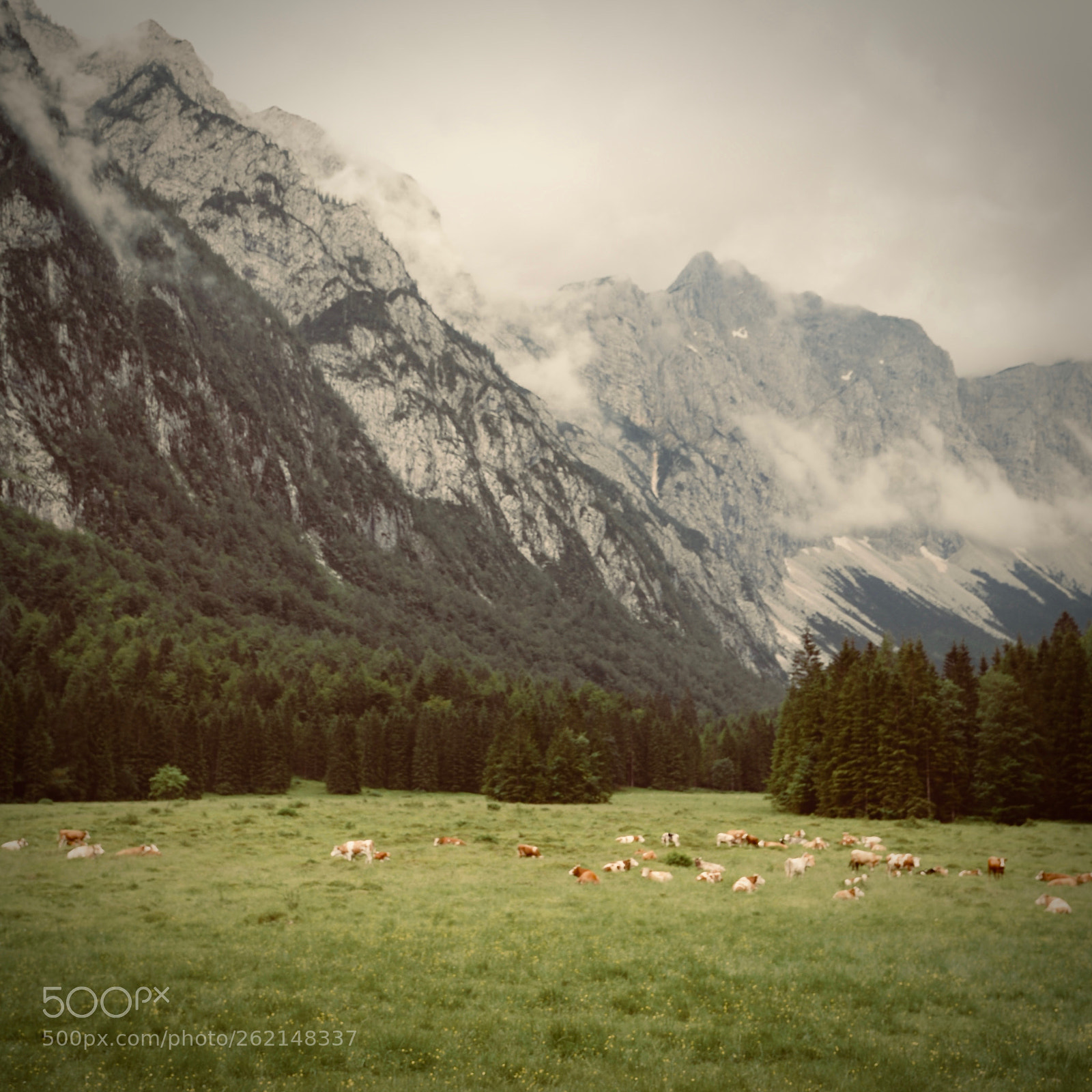 Nikon D2X sample photo. National park in slovenia photography