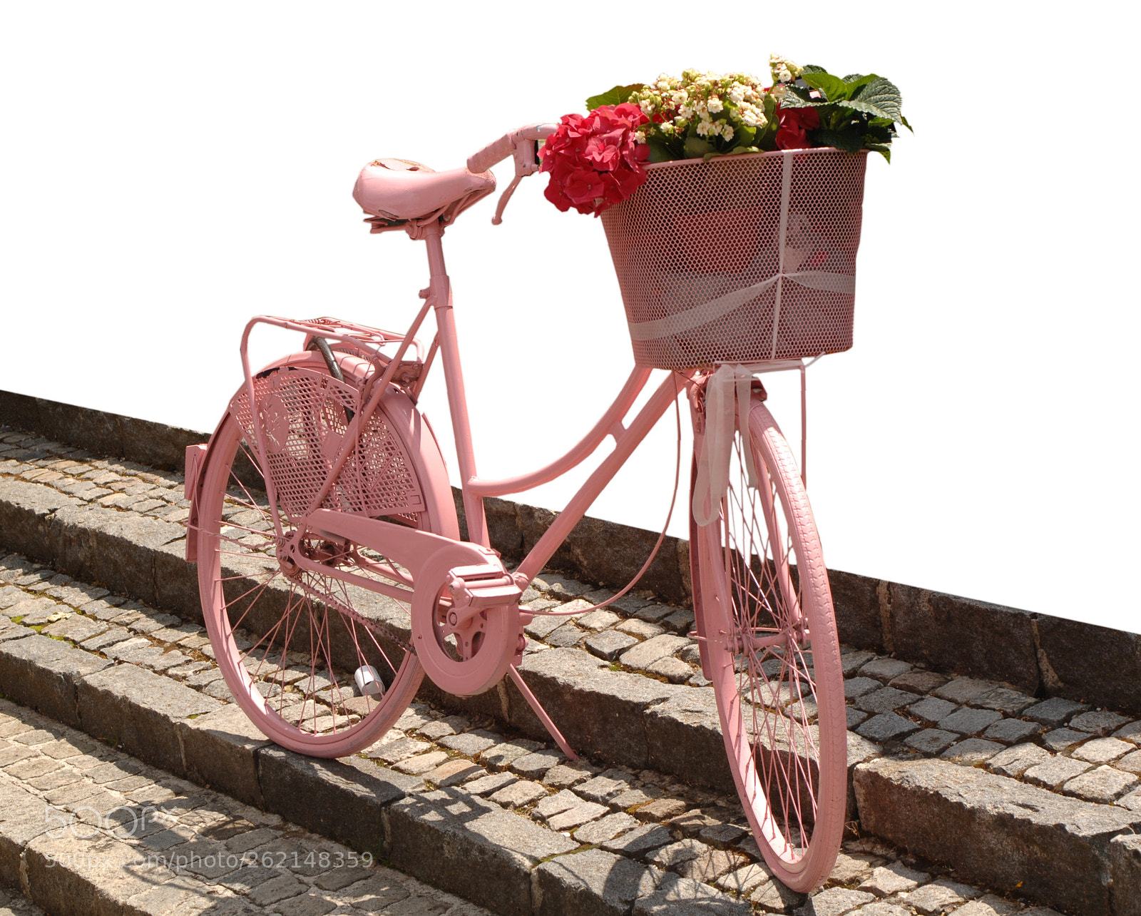 Nikon D2X sample photo. Pink bike in the photography