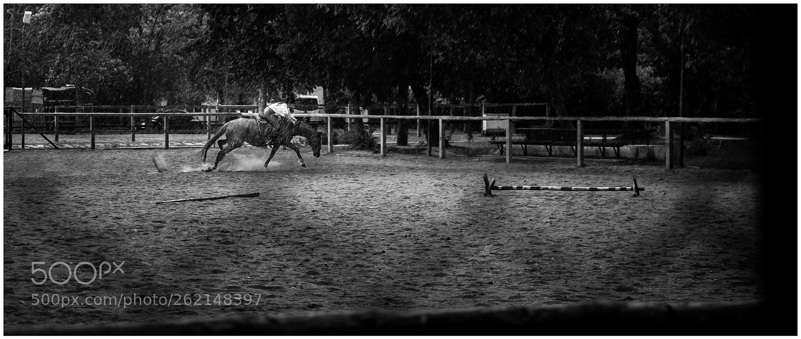 Nikon D5300 sample photo. The horse rider photography