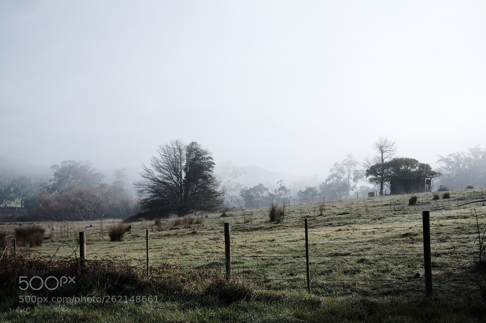 Fujifilm X-E3 sample photo. Fog  photography