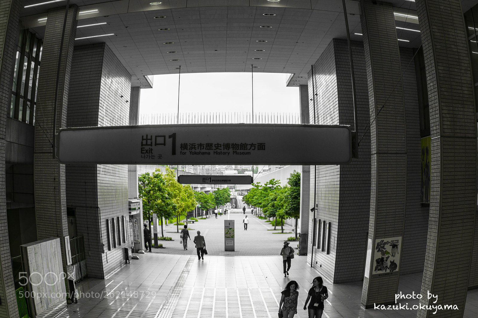 Sony a7R II sample photo. Dsc photography