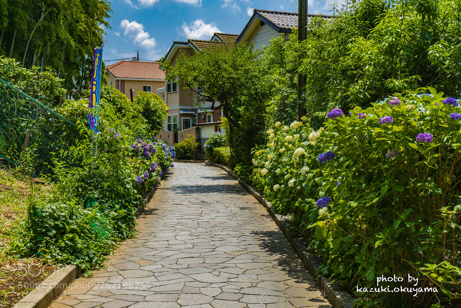 Sony a7R II sample photo. Dsc photography