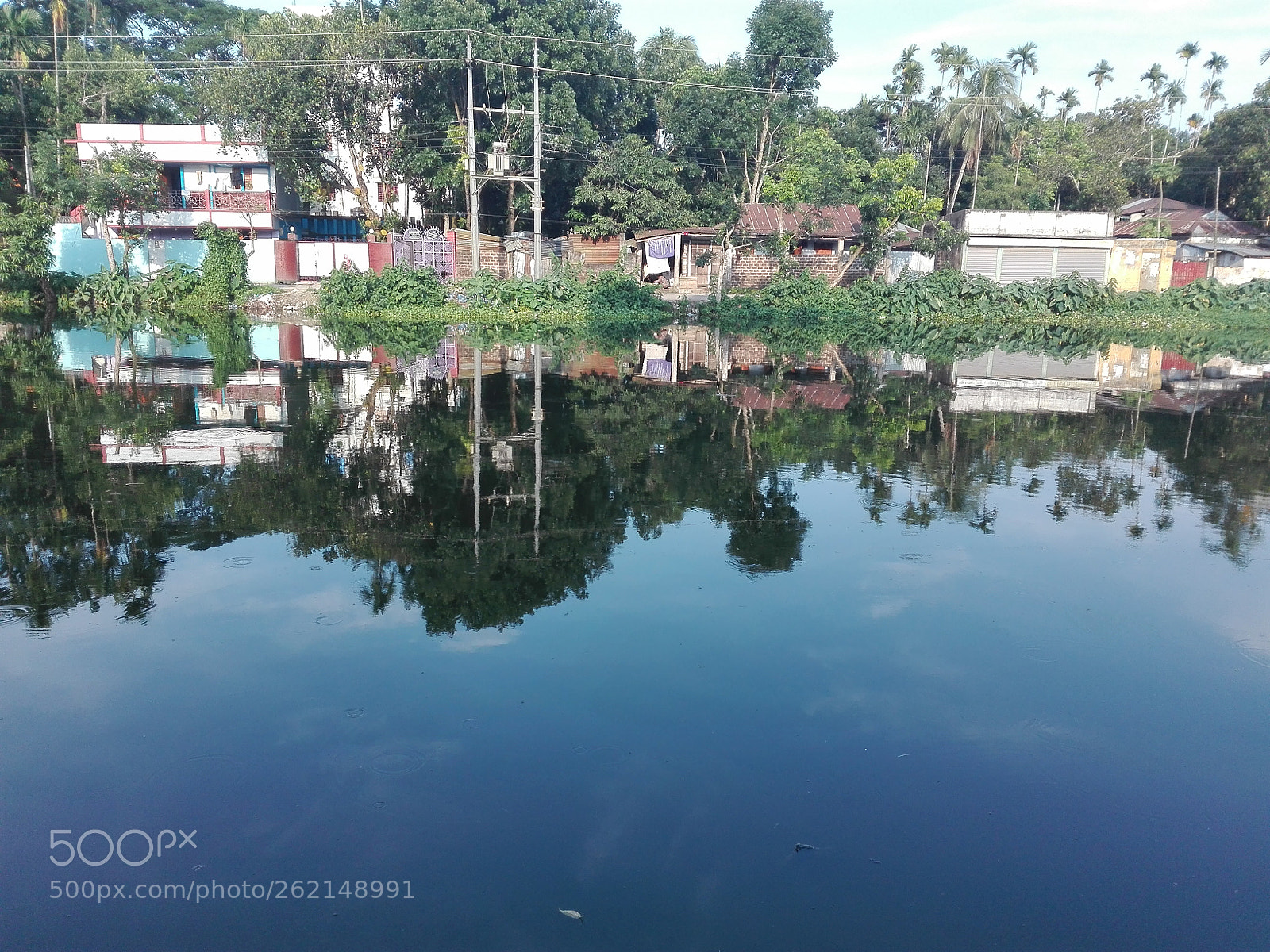HUAWEI Y6II sample photo. Nature photography
