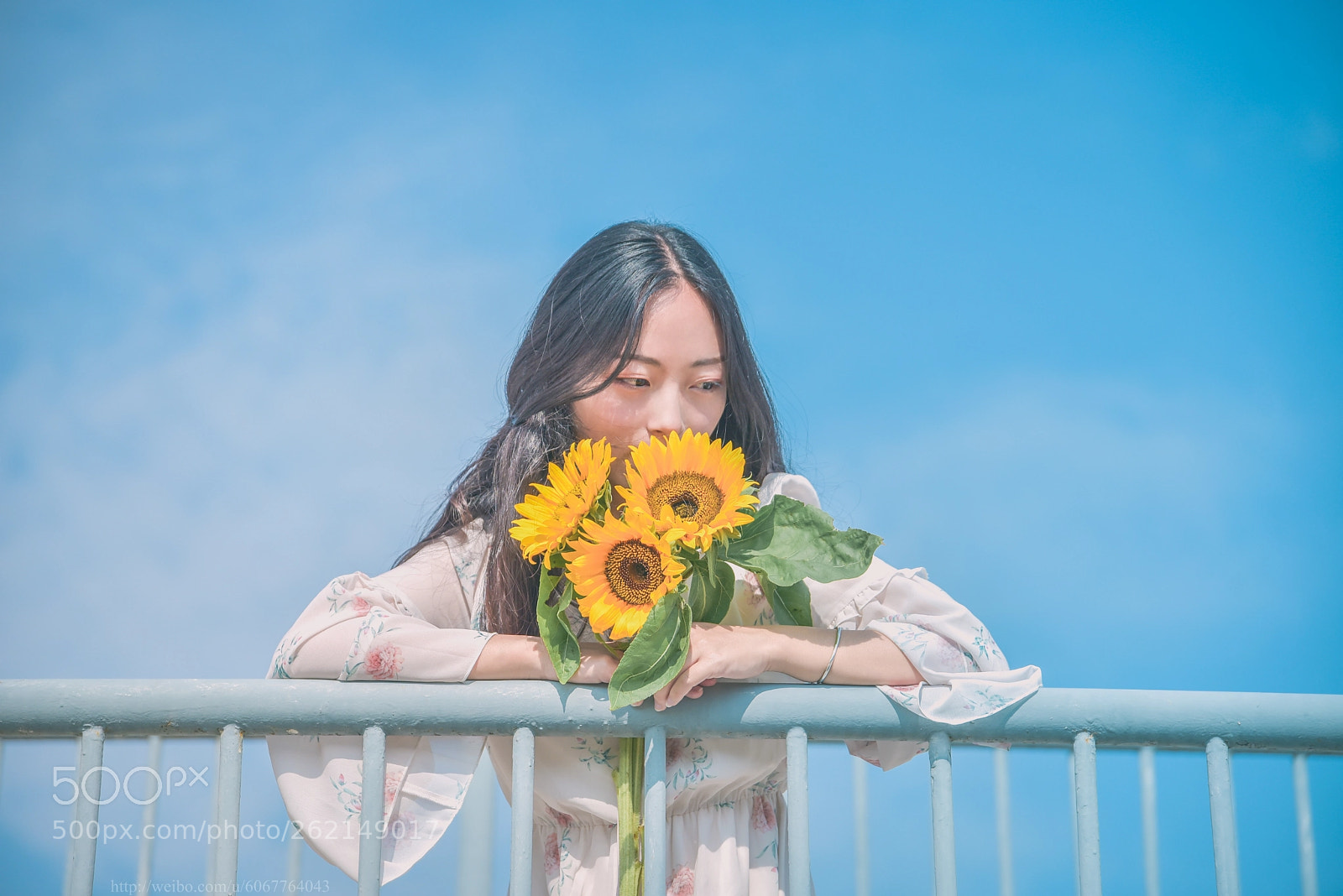 Nikon D750 sample photo. Untitled photography