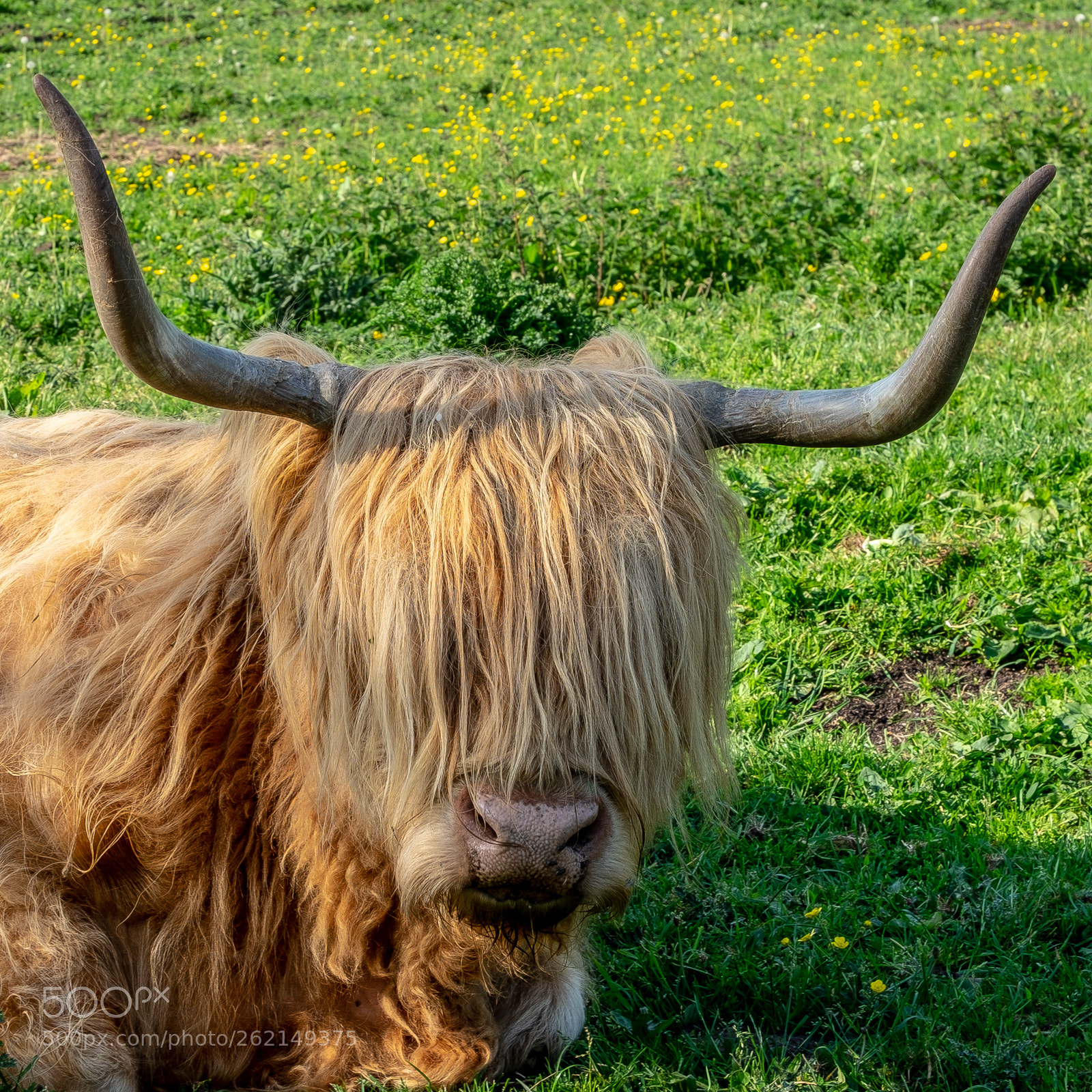 Fujifilm X-T1 sample photo. "i can see you" photography
