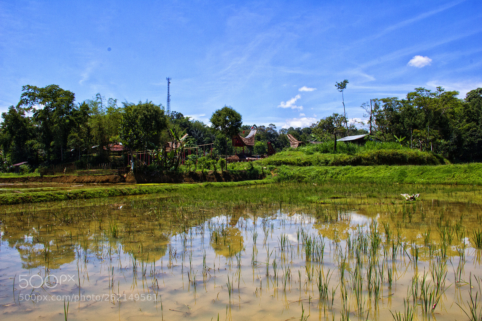 Canon EOS 60D sample photo. Water  and reflections photography