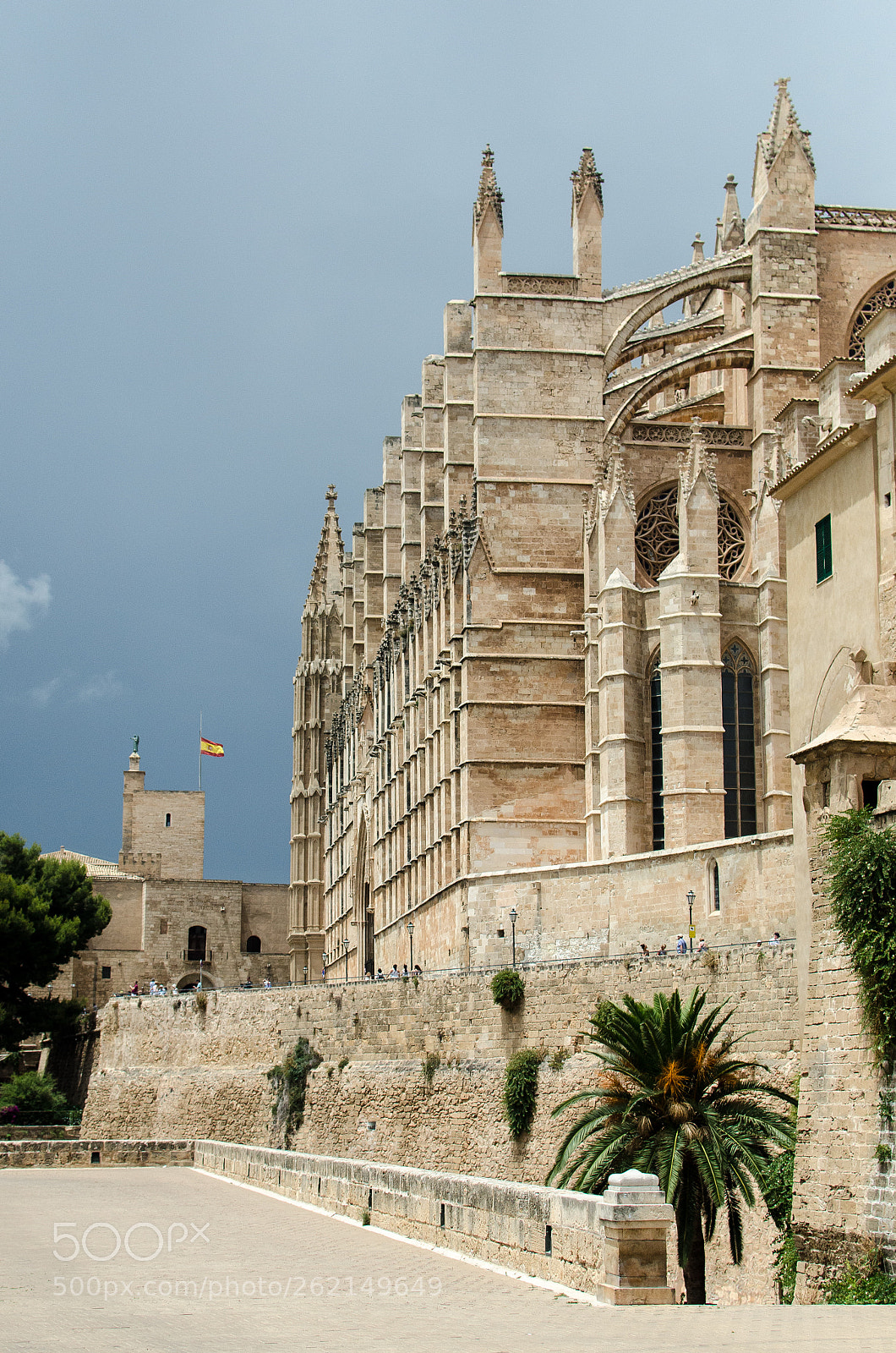 Nikon D7000 sample photo. Palma cathedral before the photography