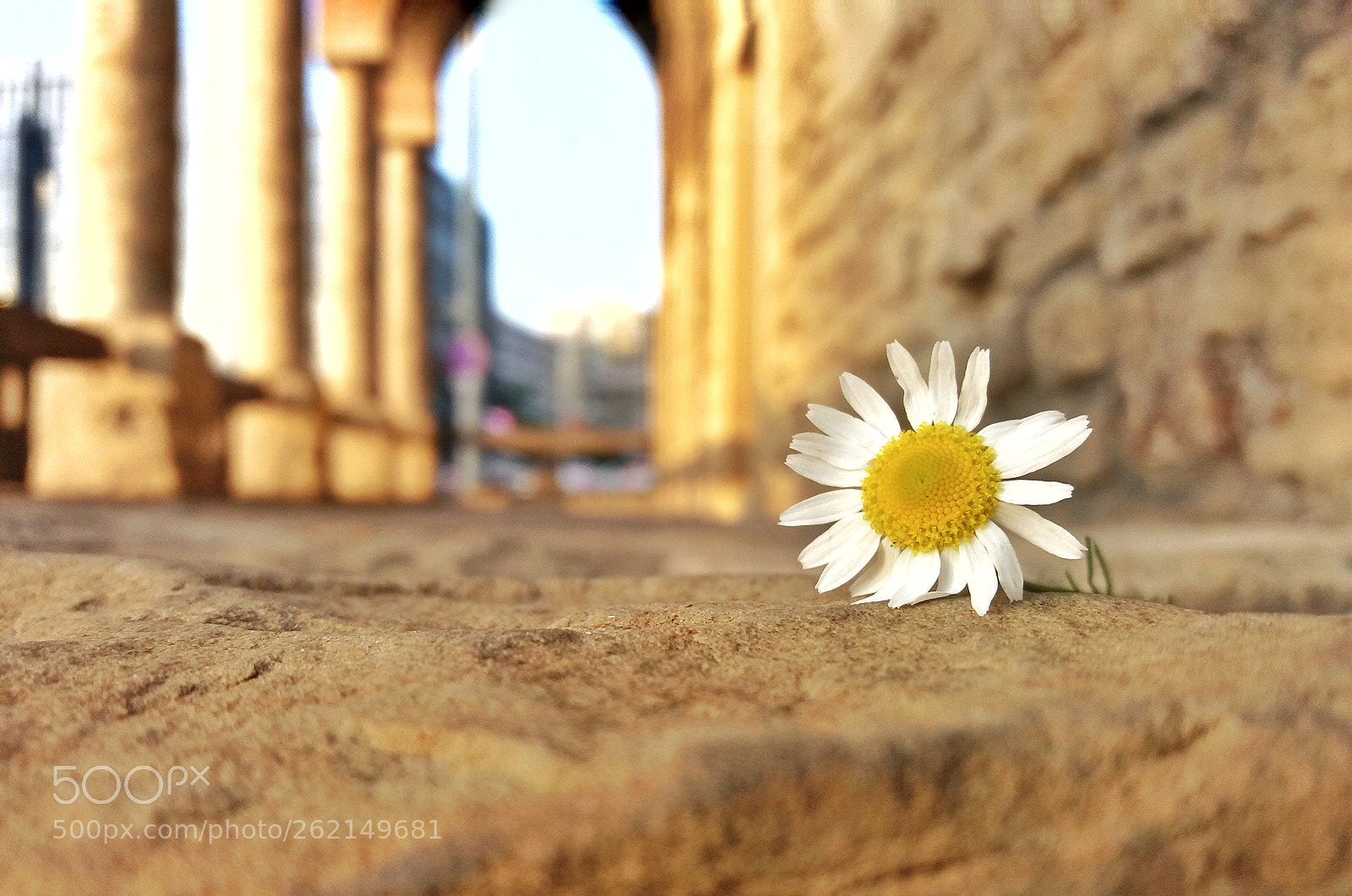 Samsung Galaxy J5 sample photo. Dosoftei house photography