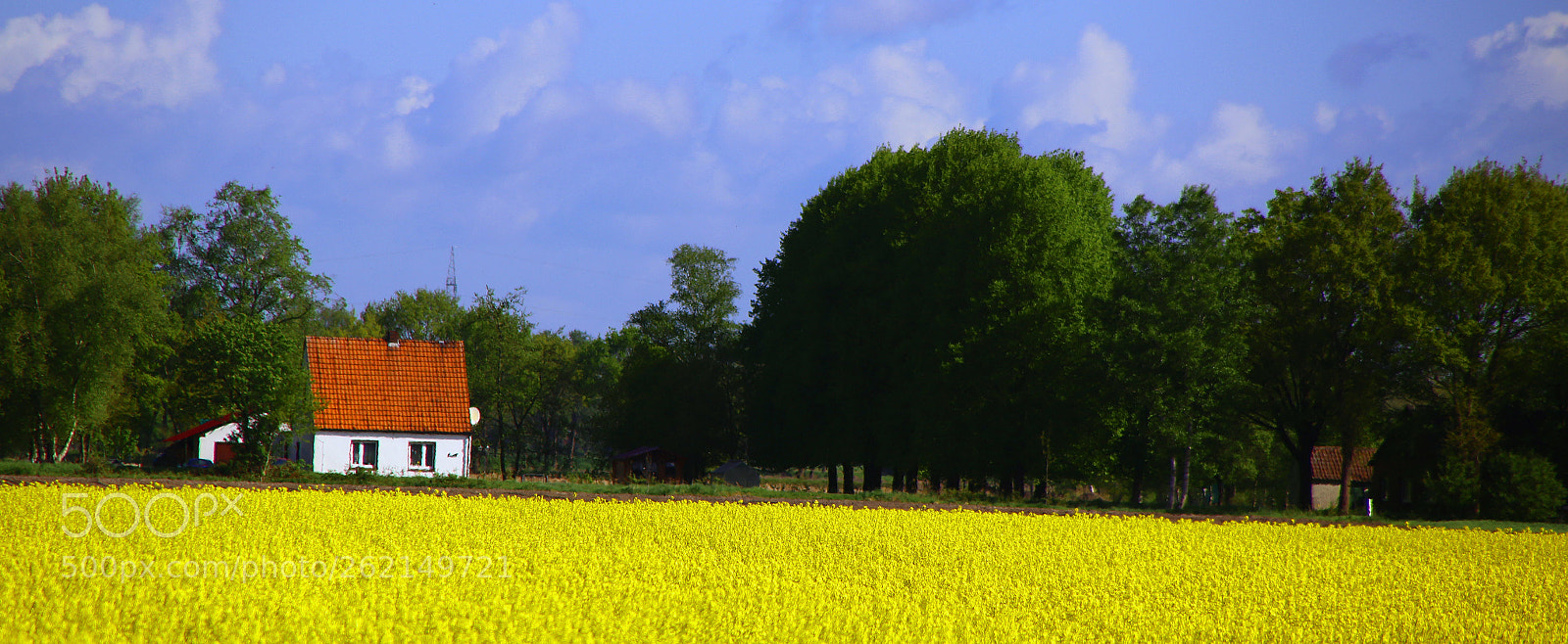 Canon EOS 6D sample photo. Spring photography