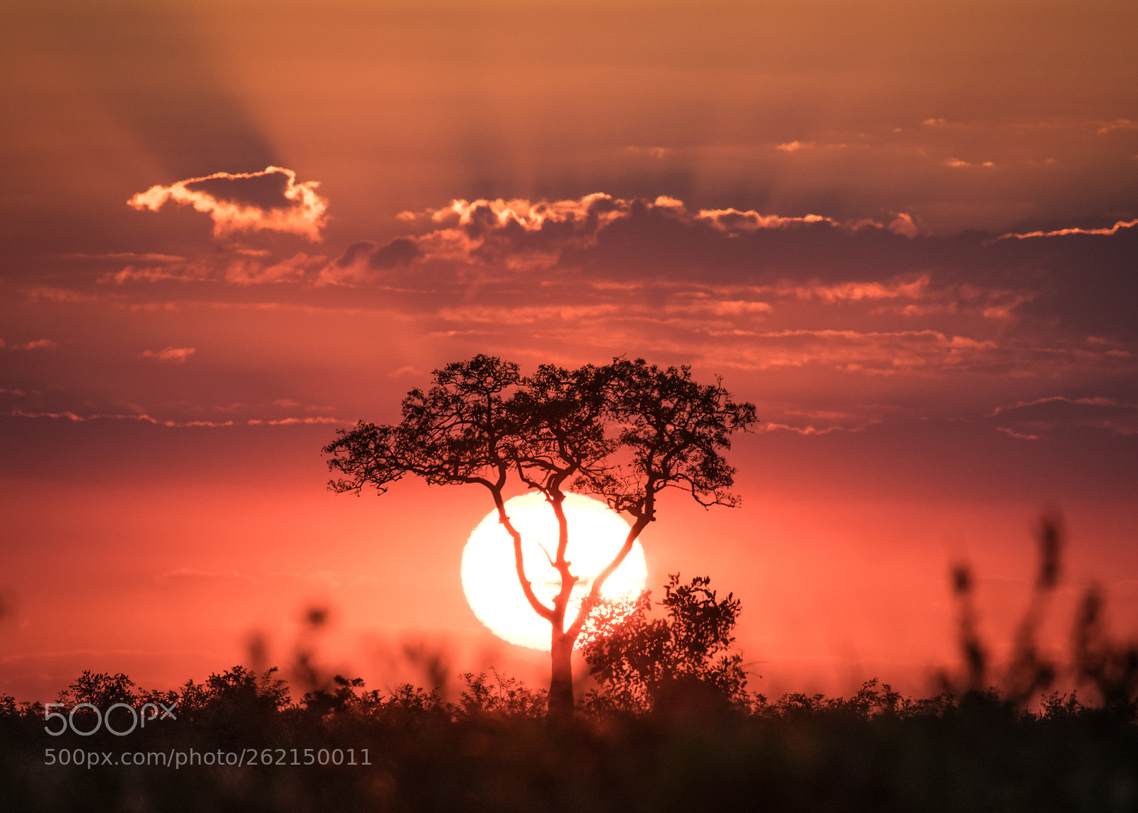 Nikon D850 sample photo. African sunset photography