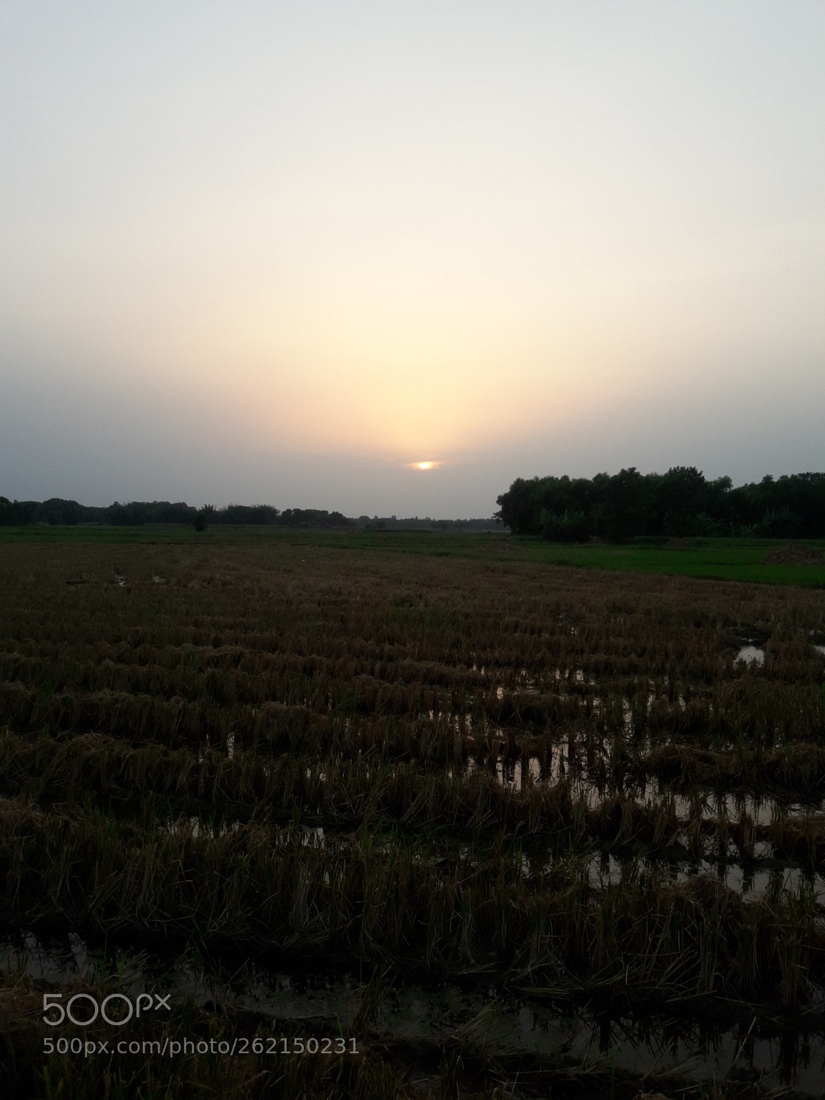 Samsung Galaxy J7 Neo sample photo. Beautyfull sunset photography