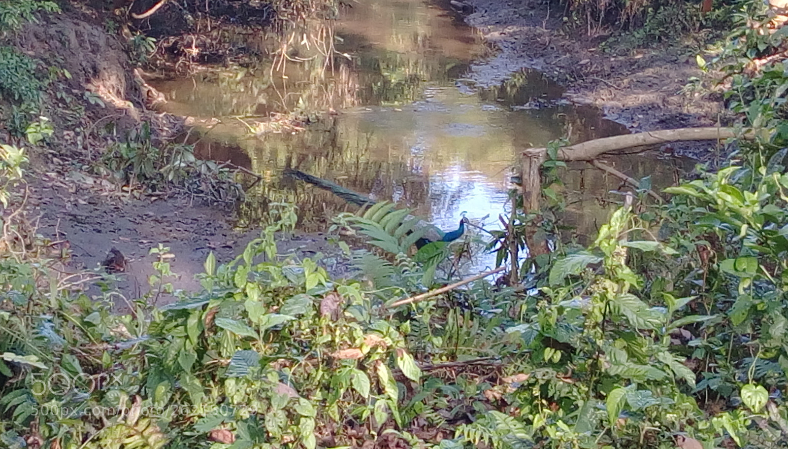 HTC DESIRE 828 DUAL SIM sample photo. Mountain stream photography