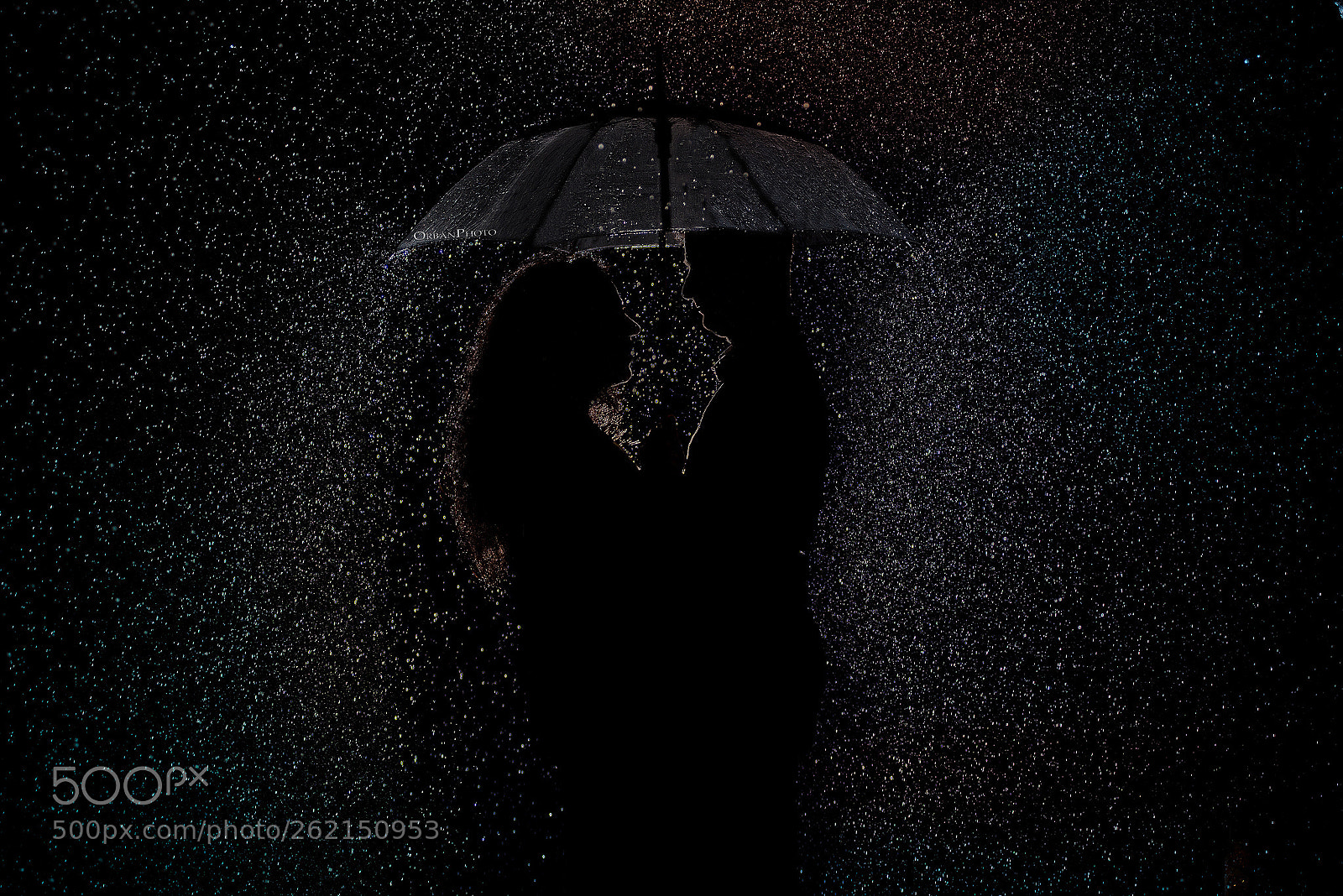 Nikon D750 sample photo. In the rain photography