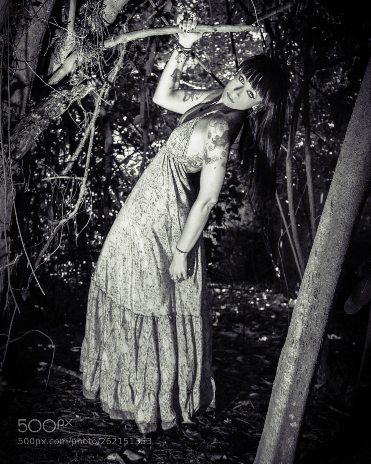Canon EOS 7D sample photo. Dark forest photography