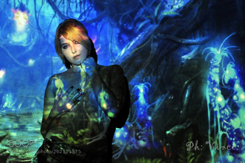 Nikon D300 sample photo. Untitled photography
