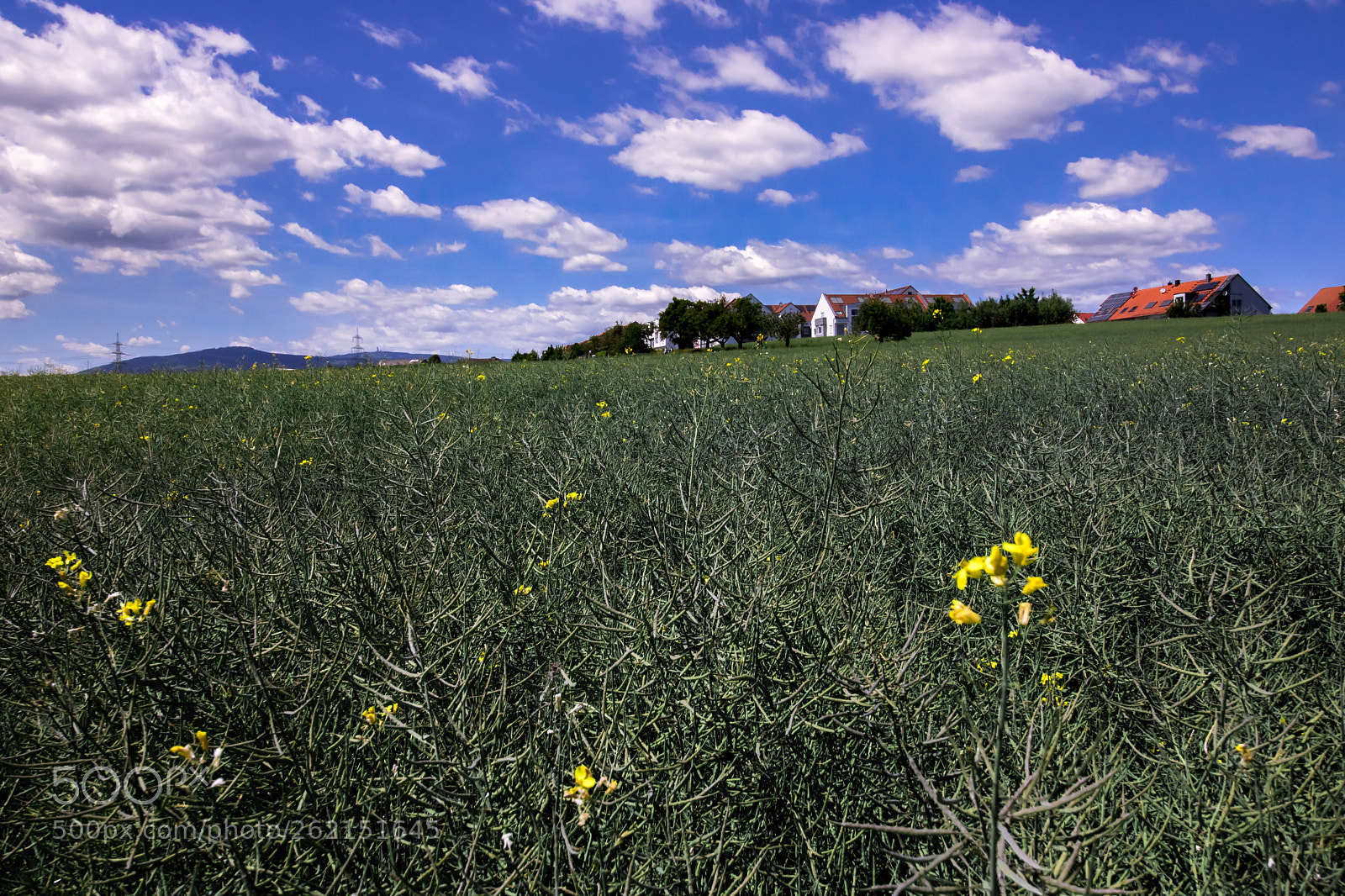 Canon EOS 750D (EOS Rebel T6i / EOS Kiss X8i) sample photo. Summer landscape photography