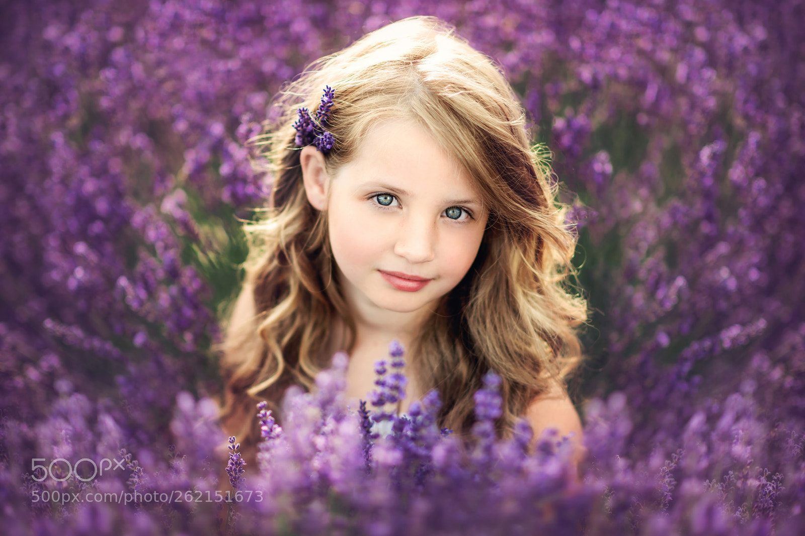 Nikon D850 sample photo. Elenka photography