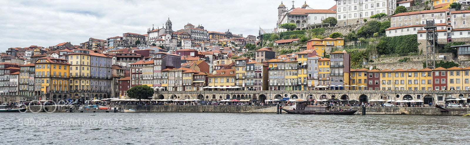 Nikon D800 sample photo. O porto! photography