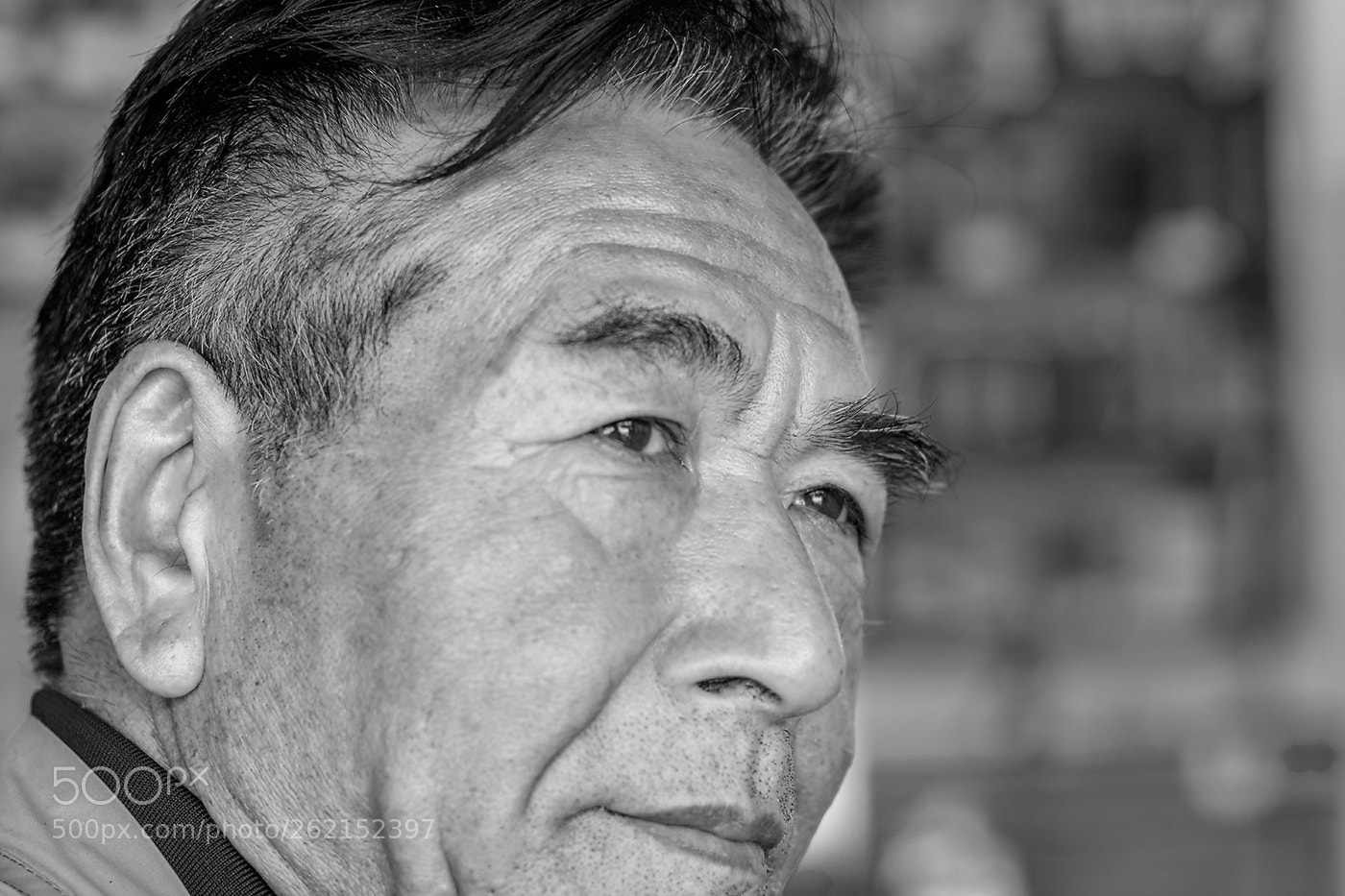 Nikon D7100 sample photo. Untitled photography