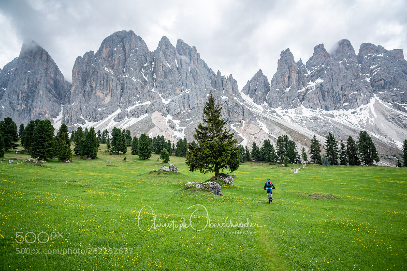 Sony a99 II sample photo. Mountain biking in the photography