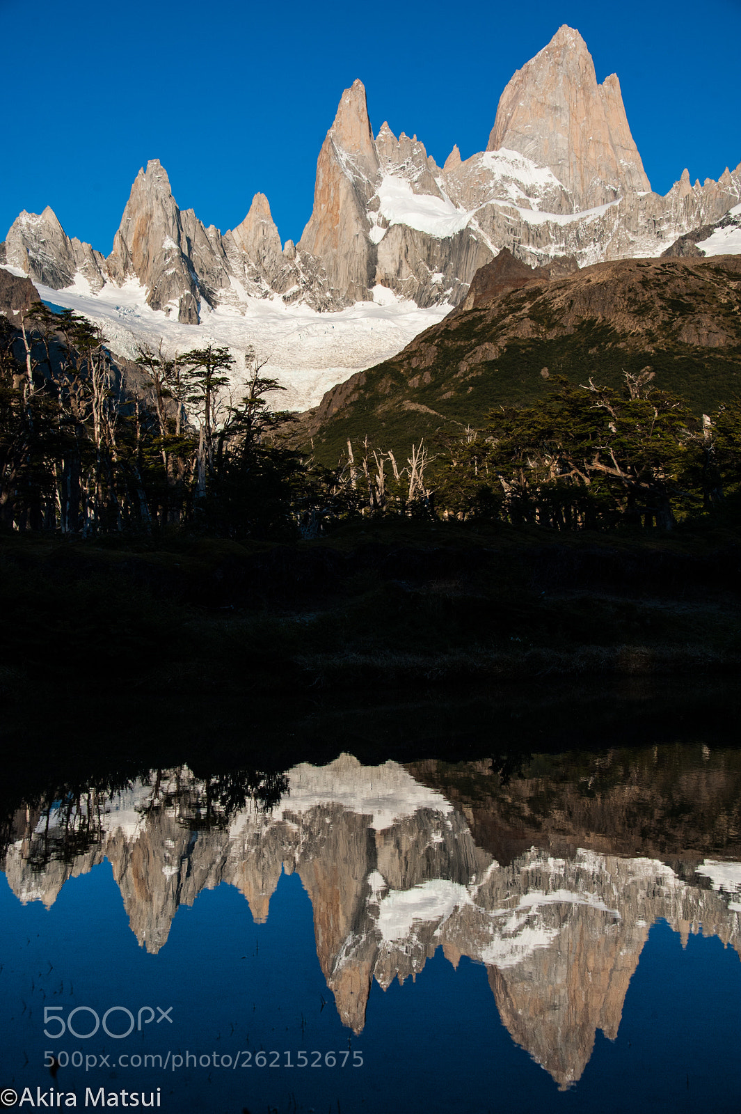 Nikon D3 sample photo. Quiet world in patagonia photography
