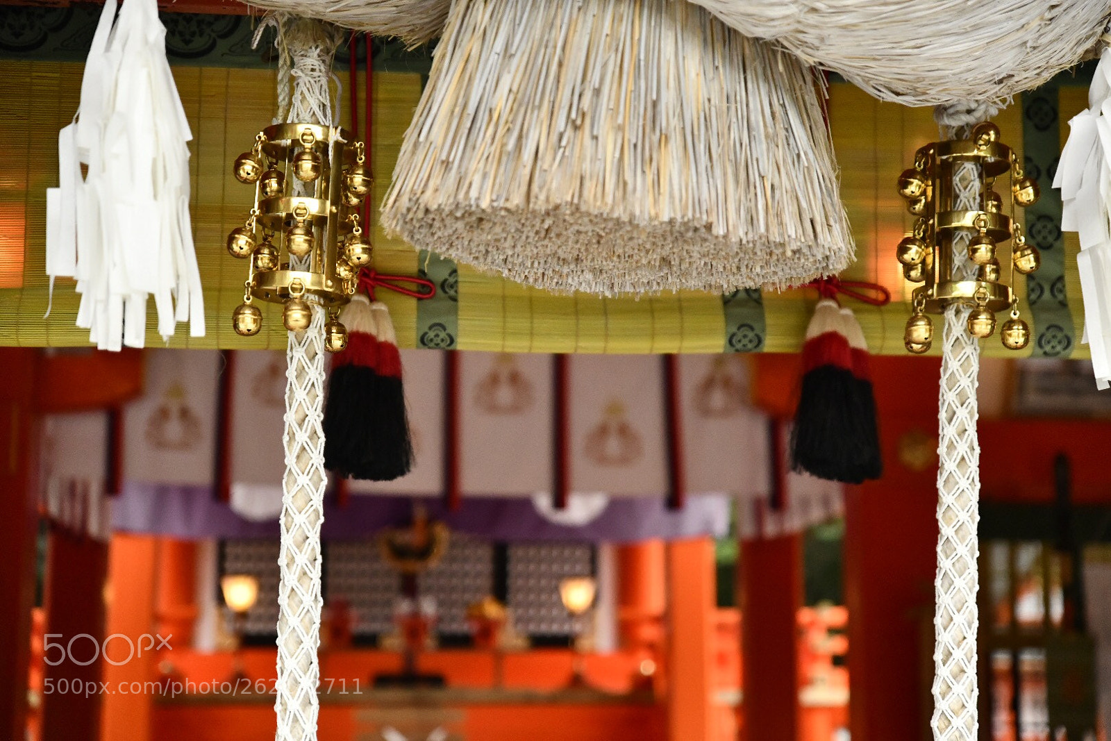 Nikon D850 sample photo. Untitled photography