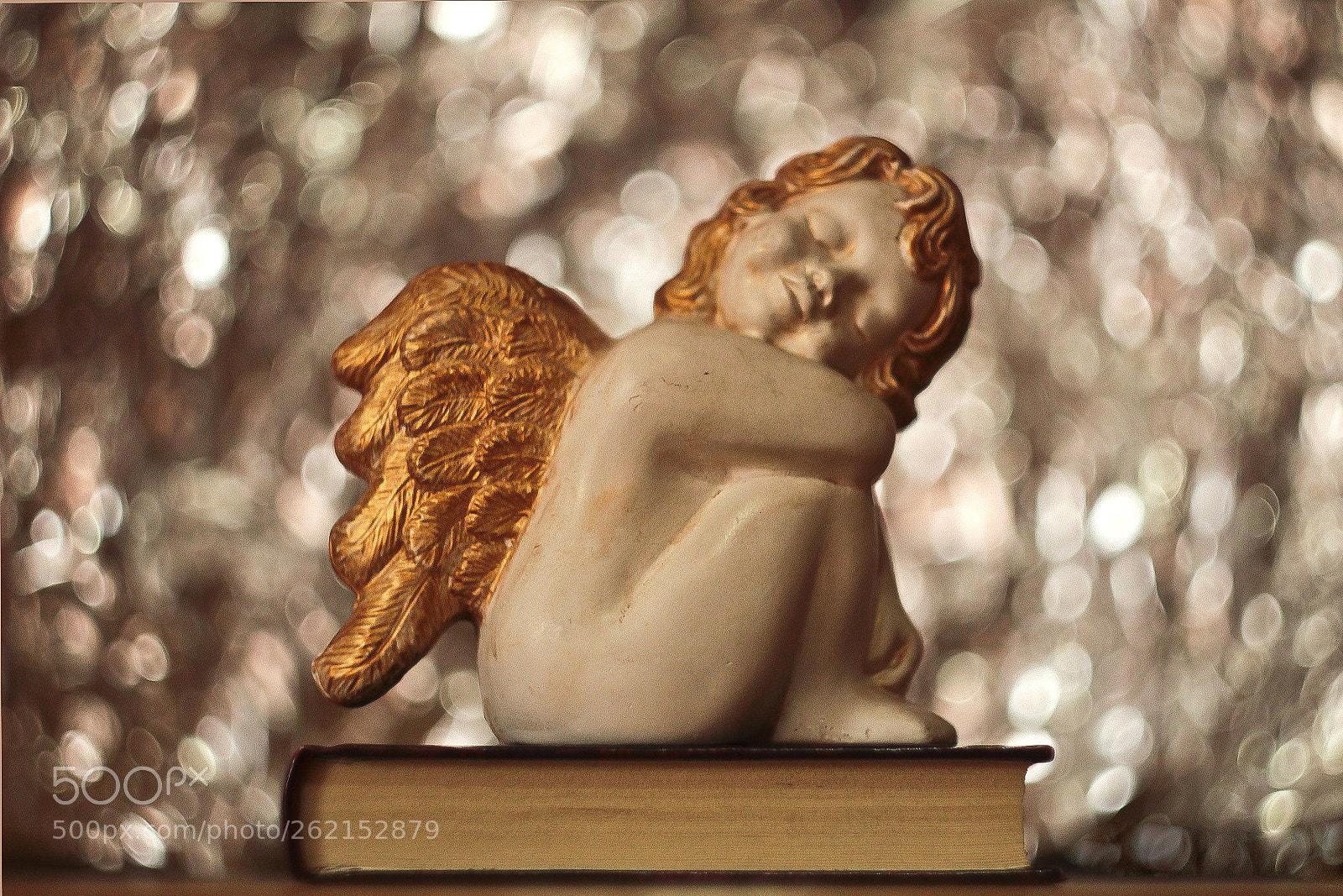 Canon EOS 1300D (EOS Rebel T6 / EOS Kiss X80) sample photo. Angel photography