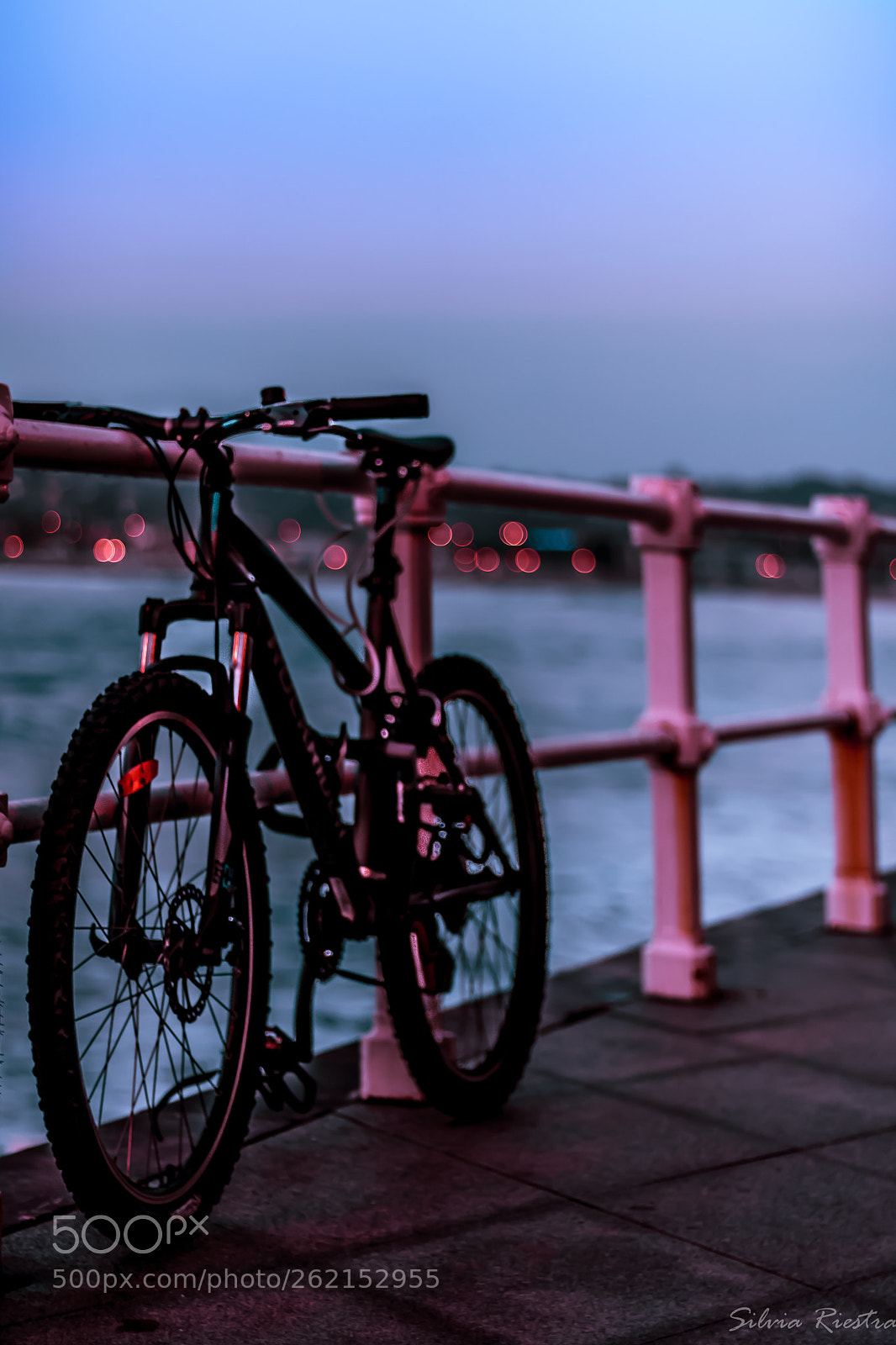 Canon EOS 750D (EOS Rebel T6i / EOS Kiss X8i) sample photo. Night ride photography